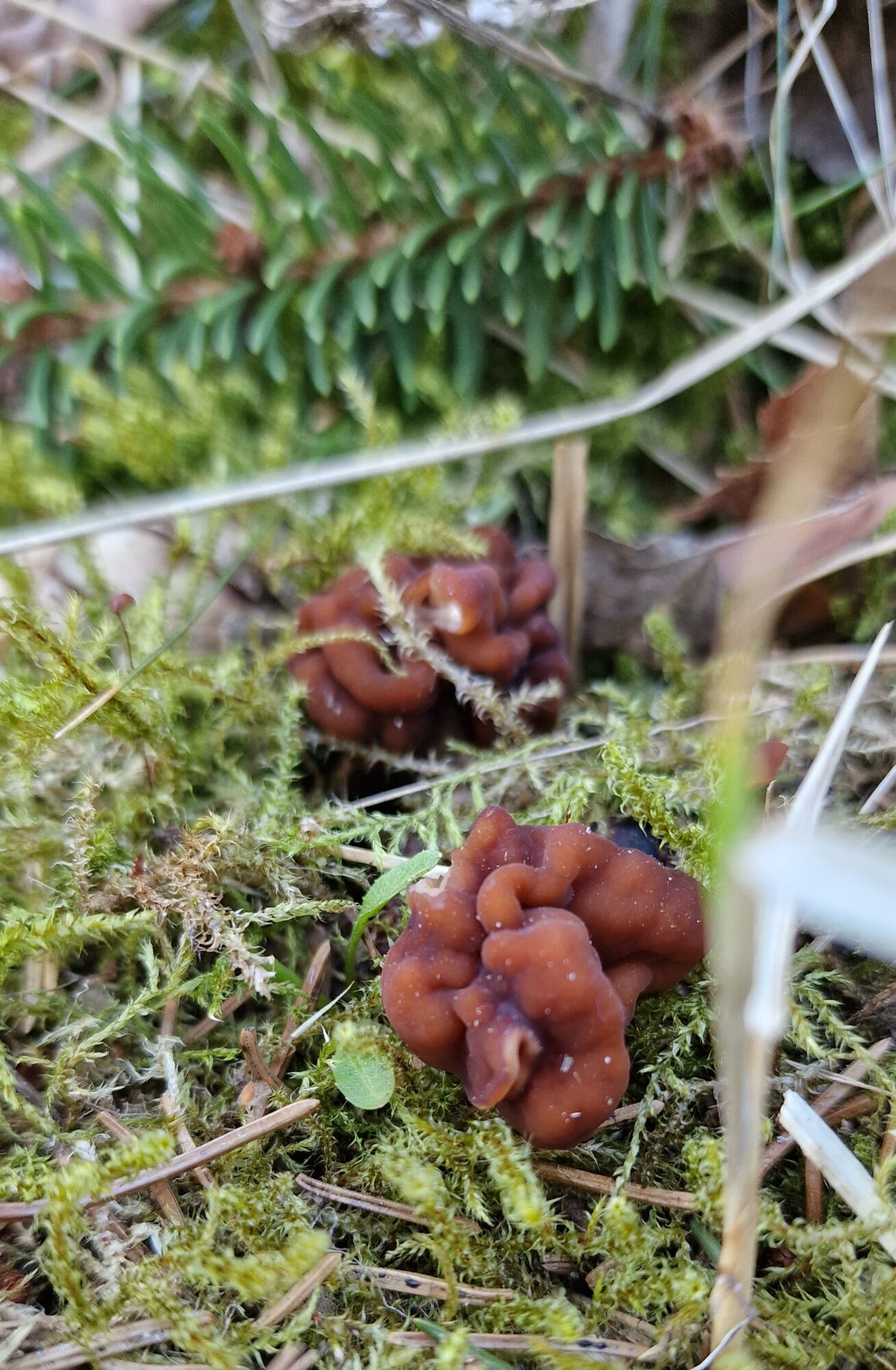 Valokuvaaja: Hanna Rönty