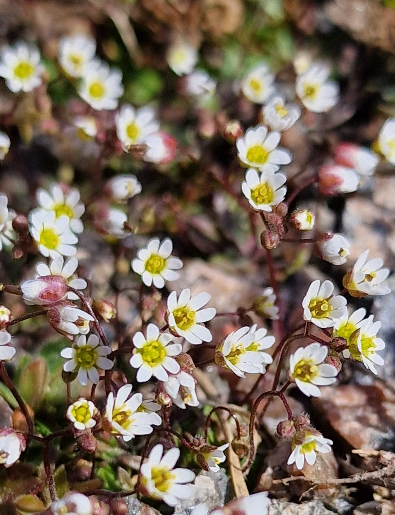 Valokuvaaja: Hanna Rönty