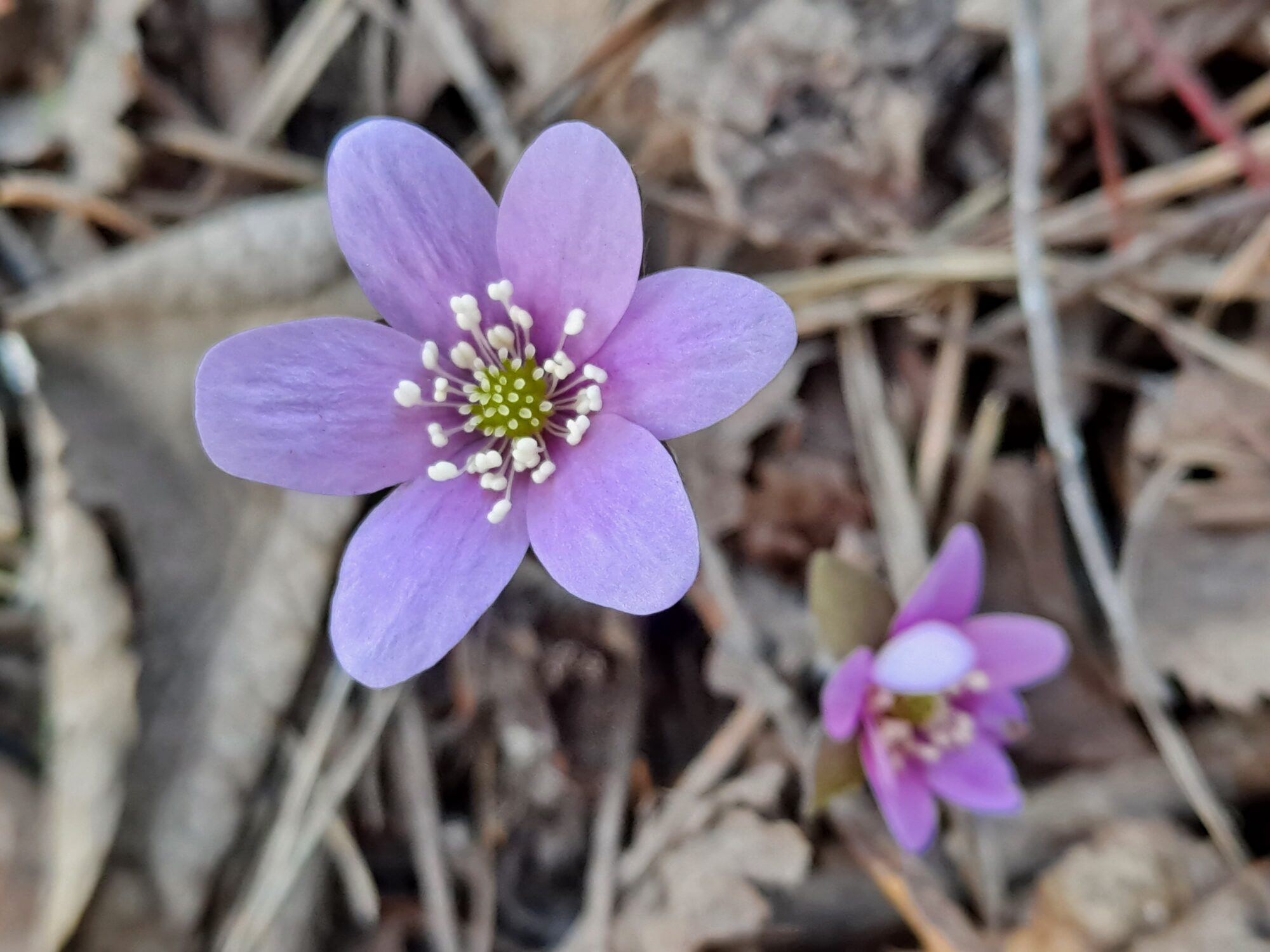 Valokuvaaja: Satu Suuntala