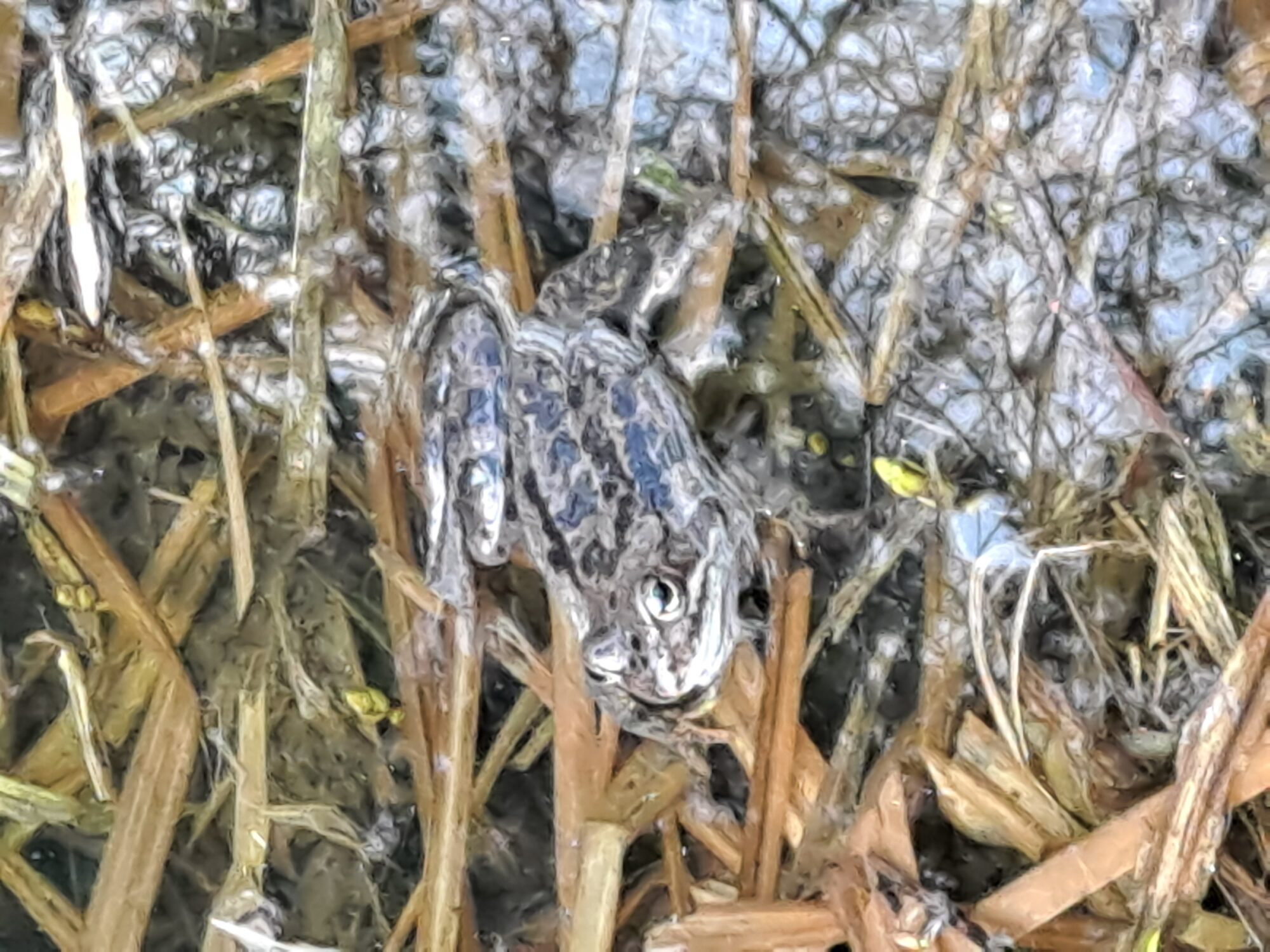 Valokuvaaja: Satu Suuntala