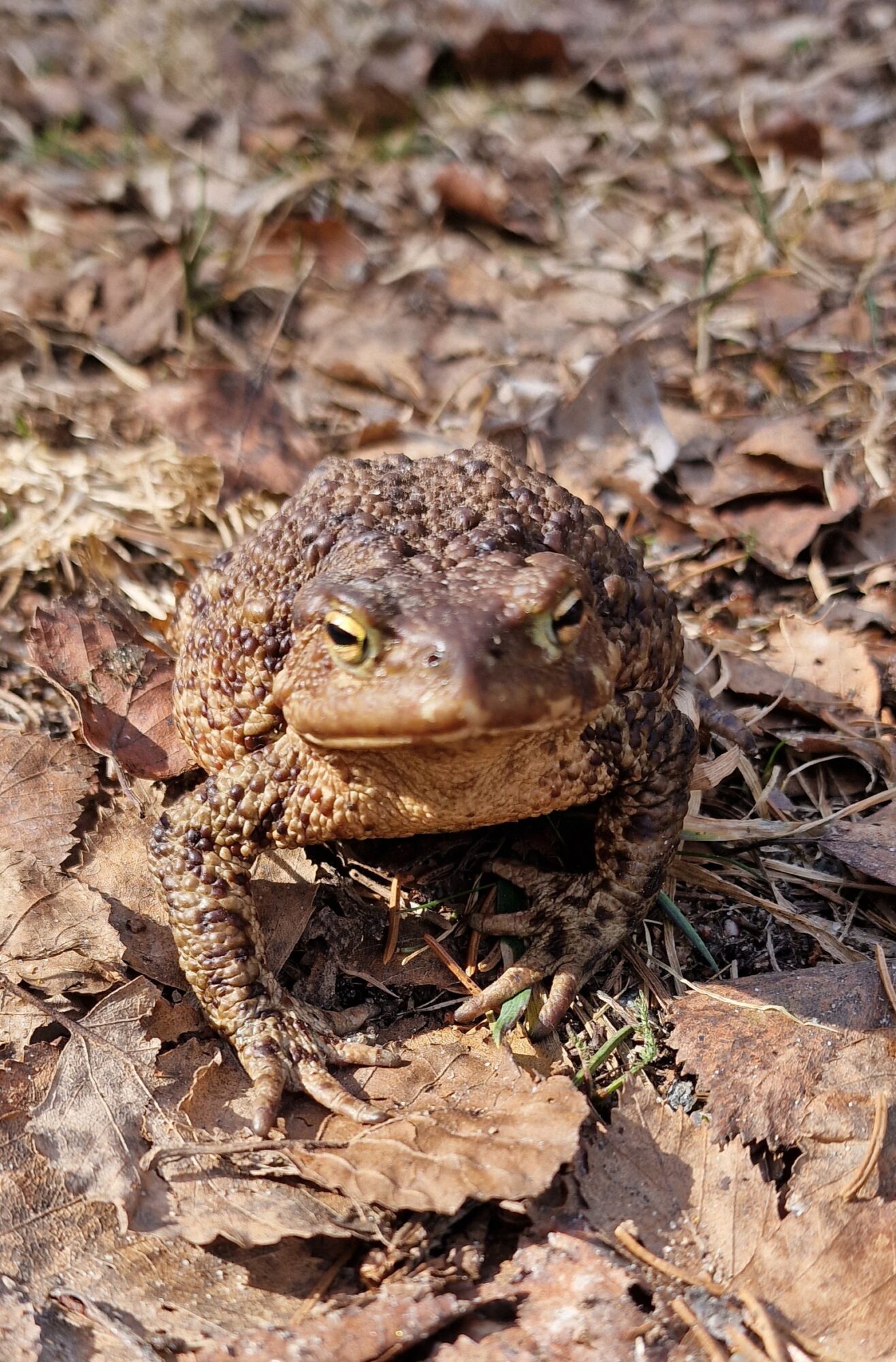 Valokuvaaja: Hanna Rönty