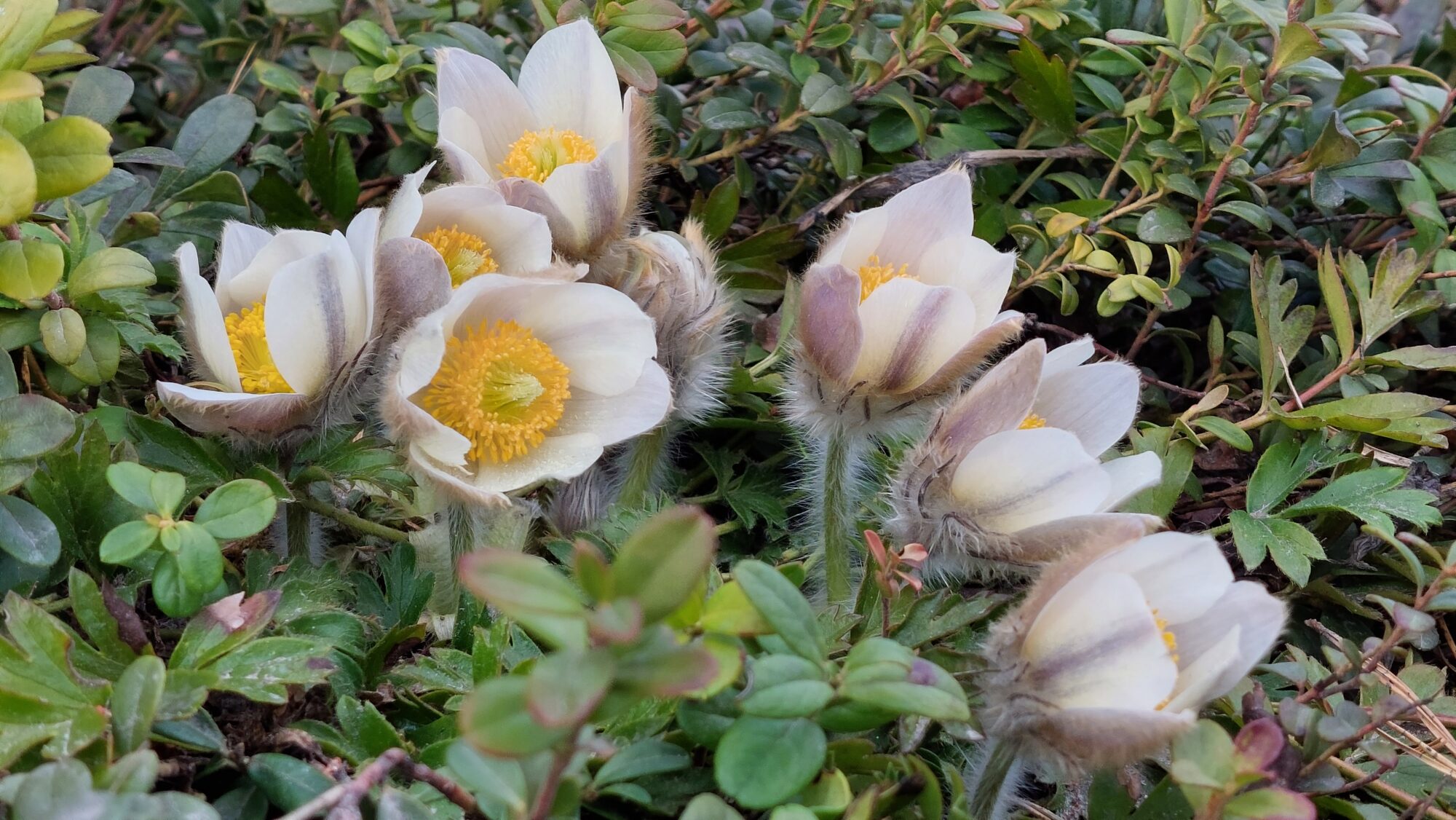 Valokuvaaja: Tarja Naukkarinen