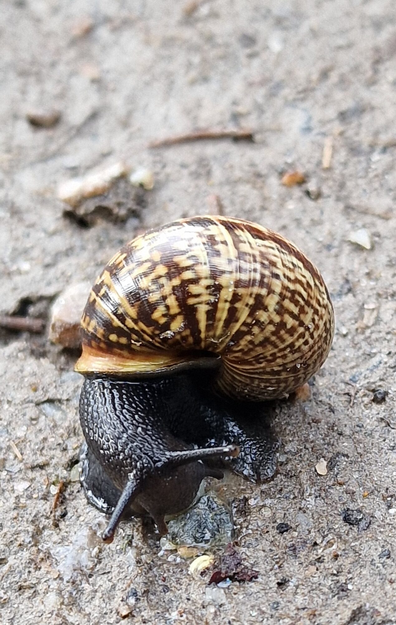 Valokuvaaja: Hanna Rönty