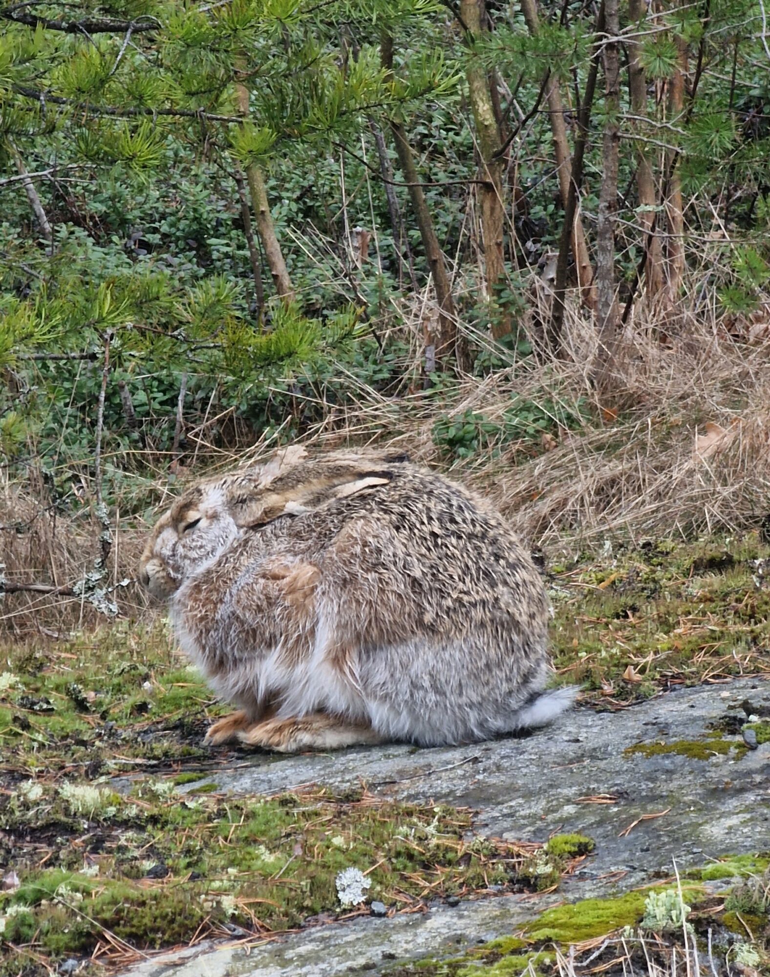 Valokuvaaja: Hanna Rönty
