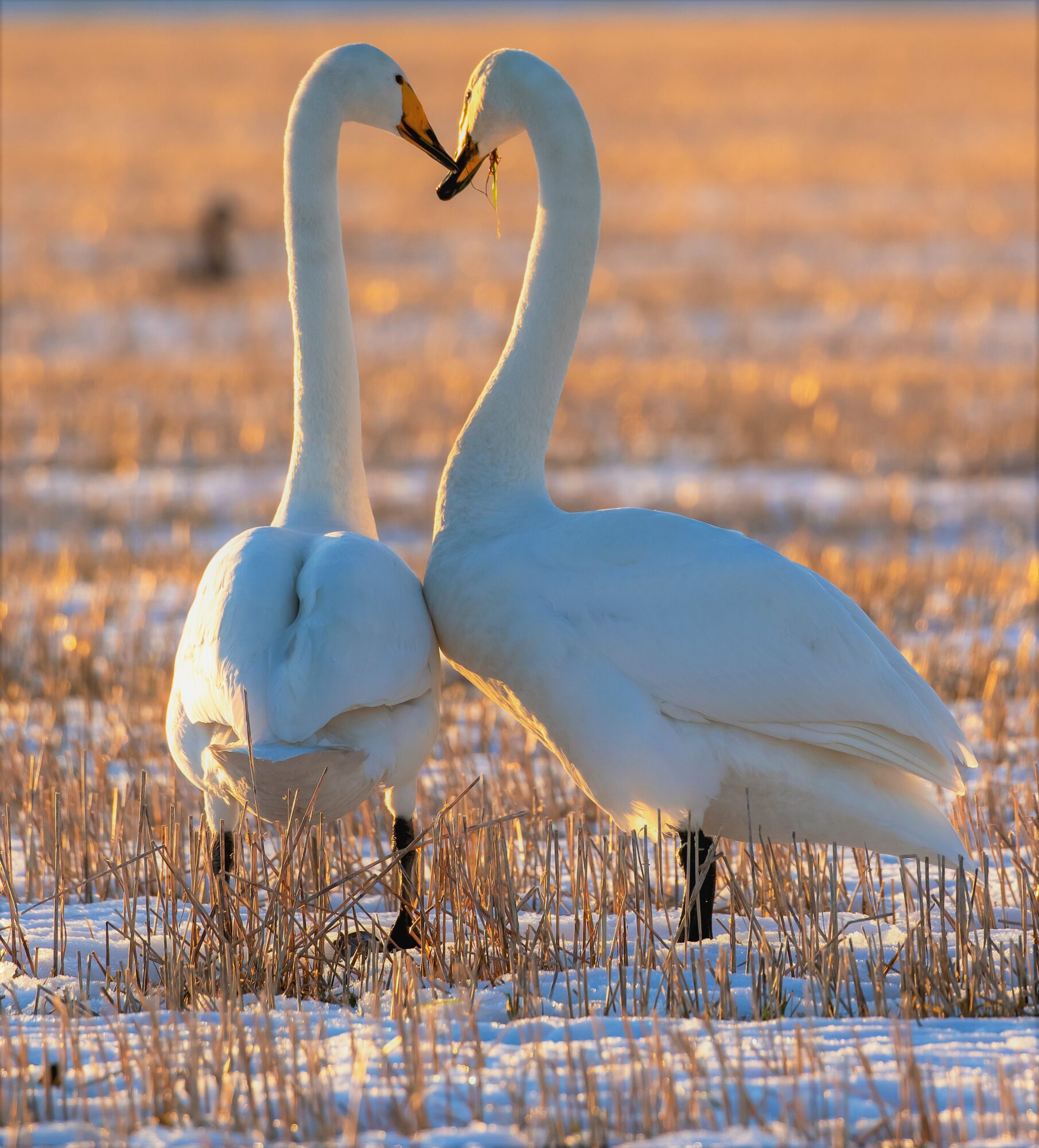 Valokuvaaja: Anne keskivinkka