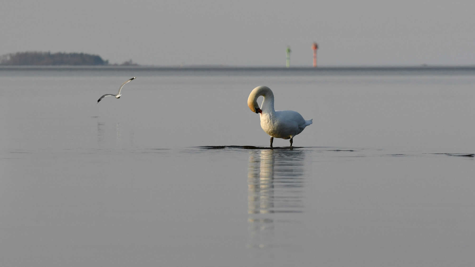 Valokuvaaja: Kati Kilpeläinen