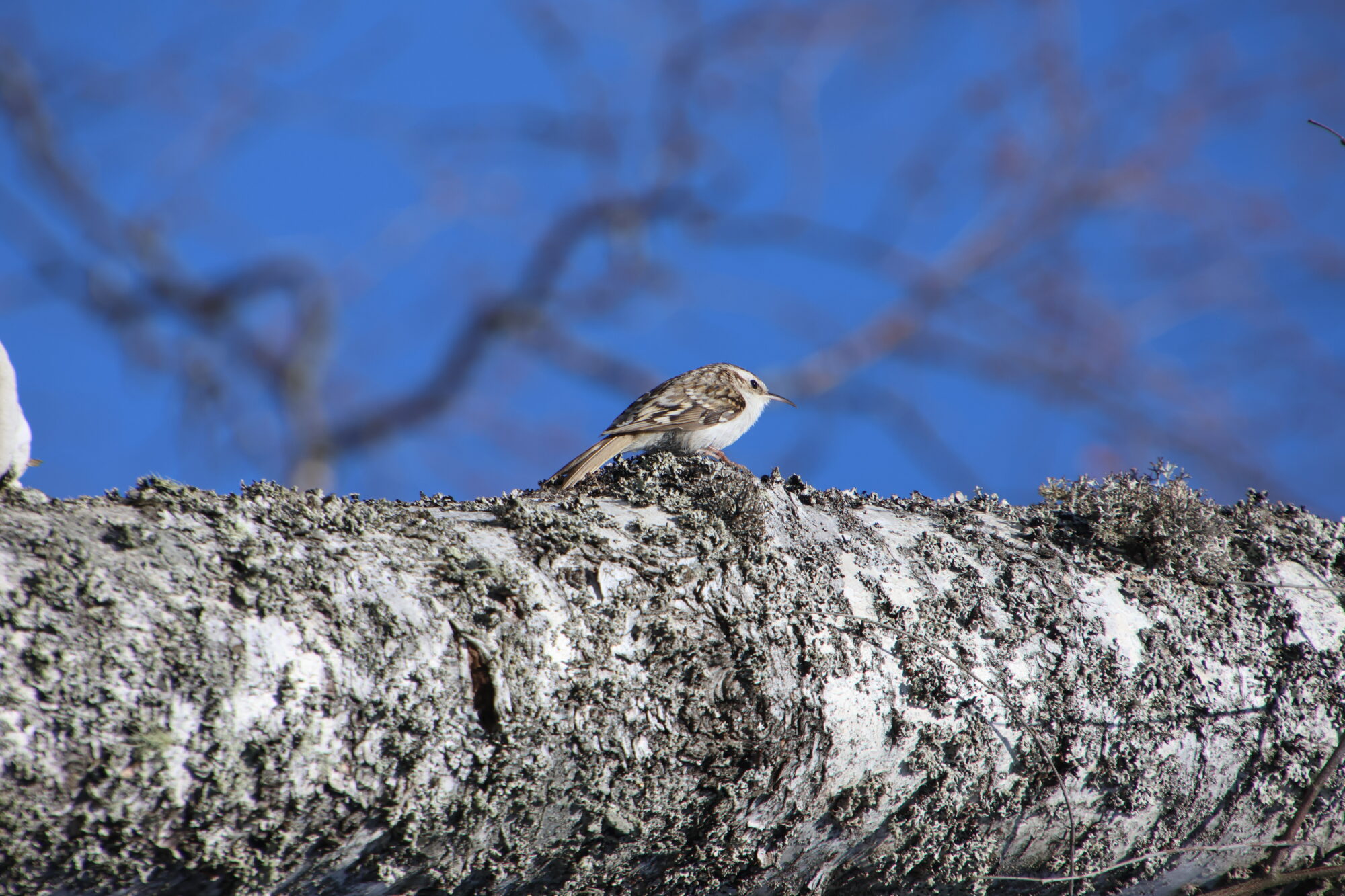 Valokuvaaja: Jukka Jokinen