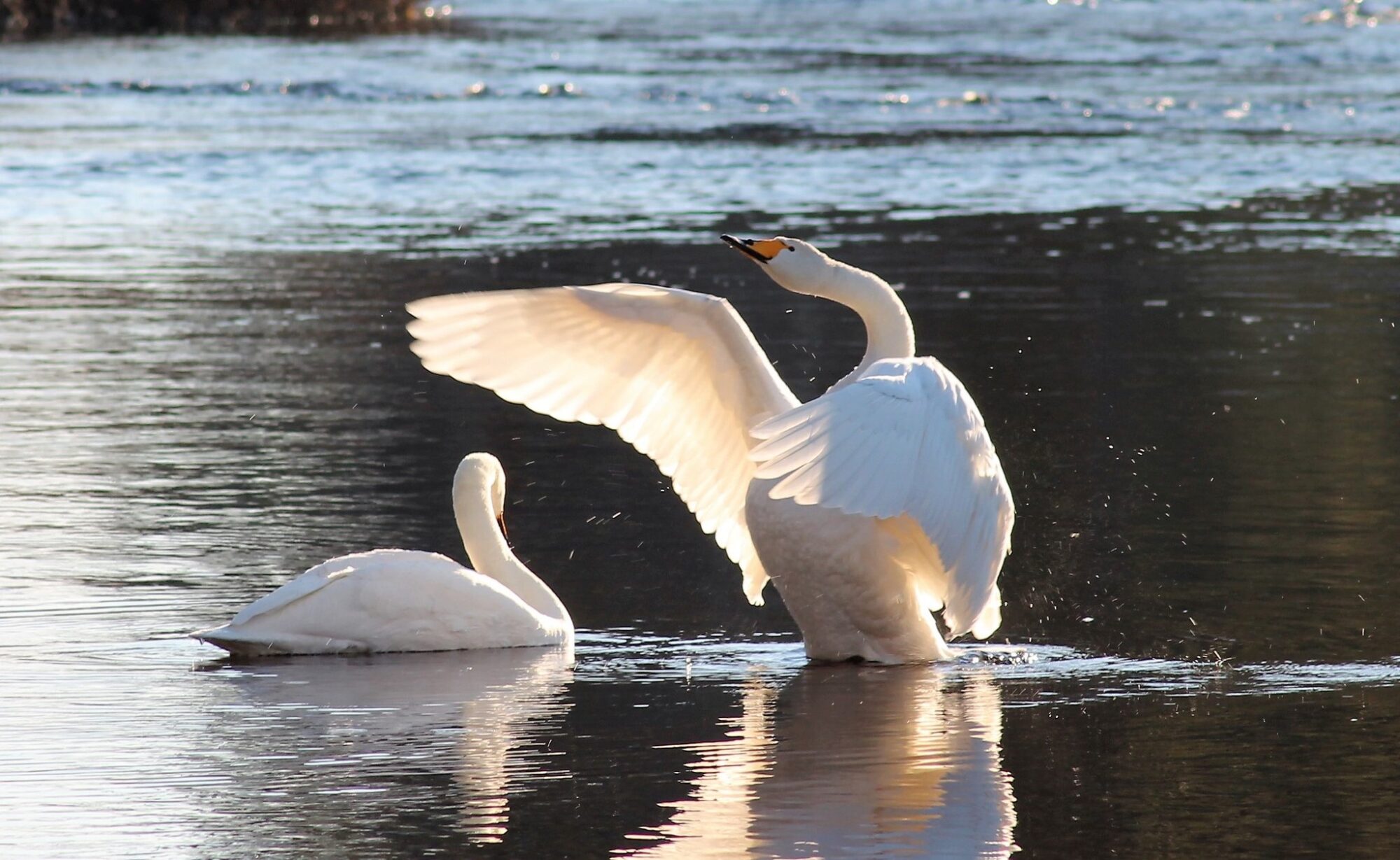 Valokuvaaja: Mirja Pasanen
