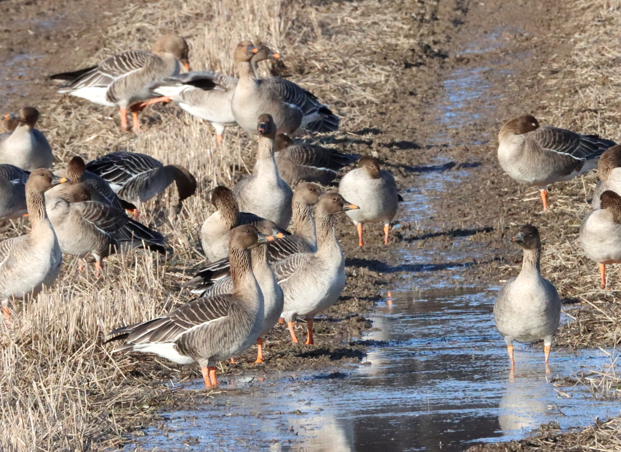 Valokuvaaja: Irja Lehtinen