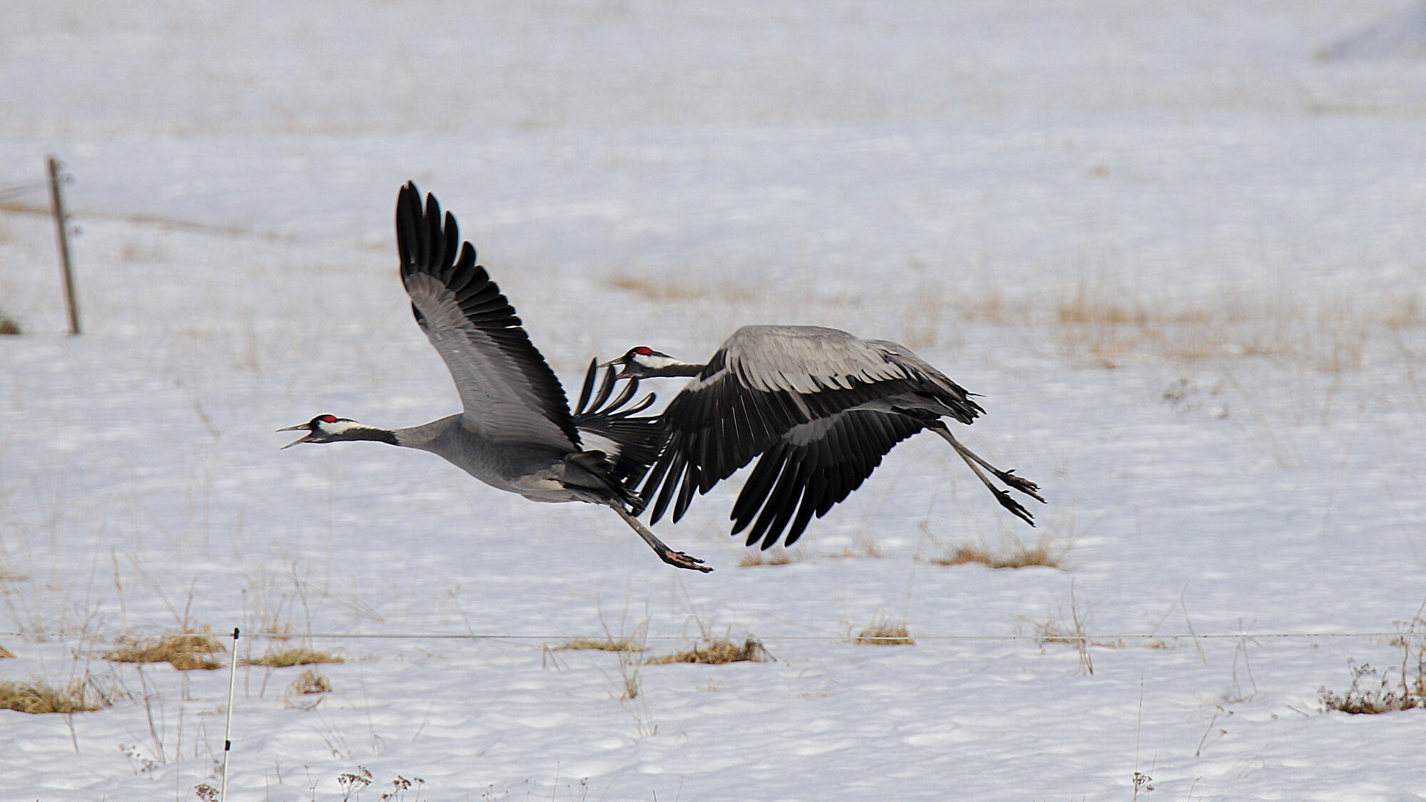 Valokuvaaja: sirpa Jyske
