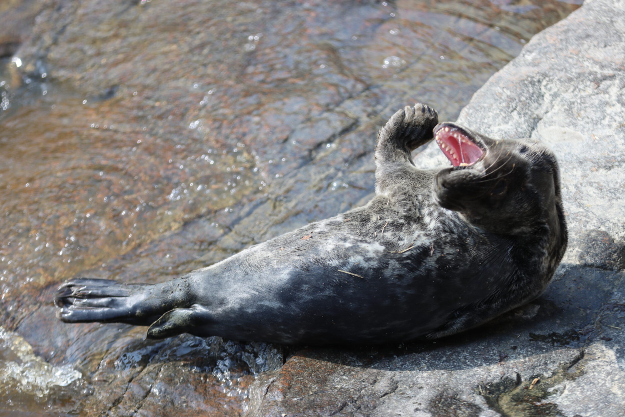 Valokuvaaja: Auli Leivonen