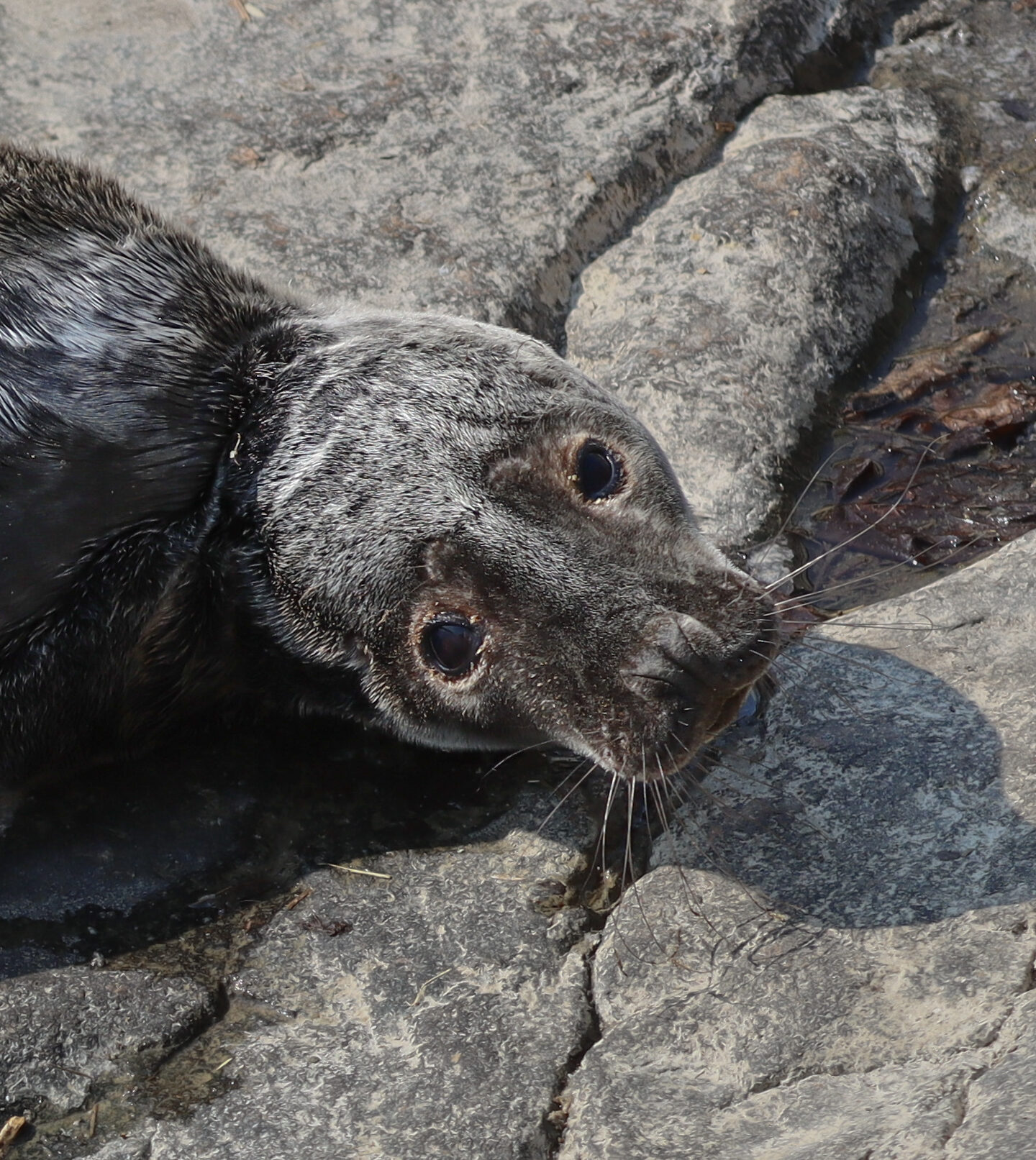 Valokuvaaja: Auli Leivonen Valokuvaaja: Auli Leivonen