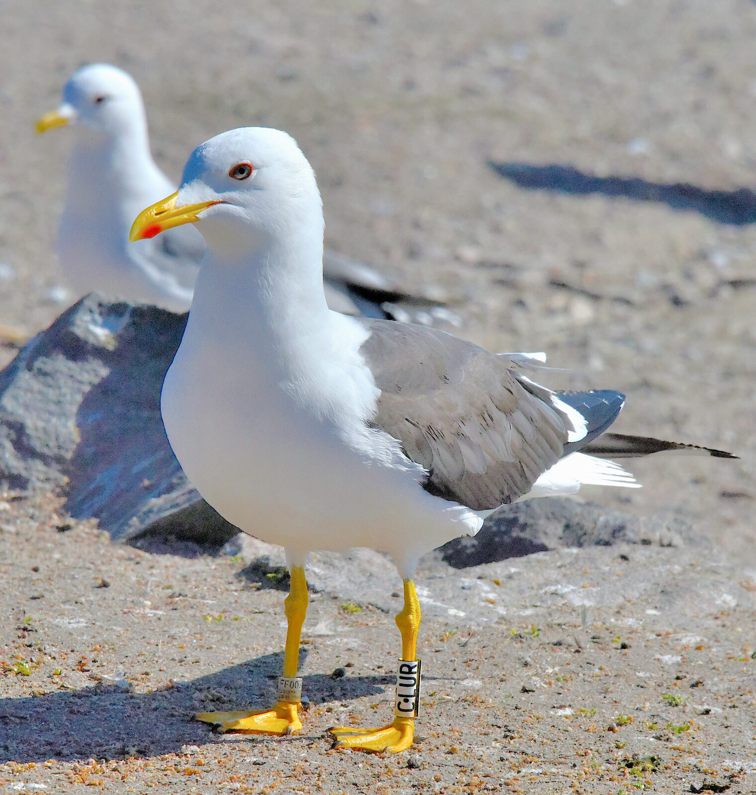 Valokuvaaja: Reijo Juurinen
