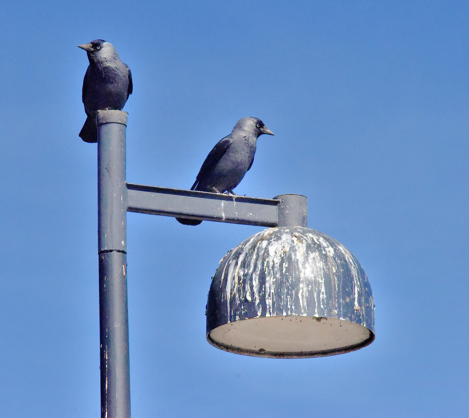 Valokuvaaja: Reijo Juurinen Valokuvaaja: Reijo Juurinen