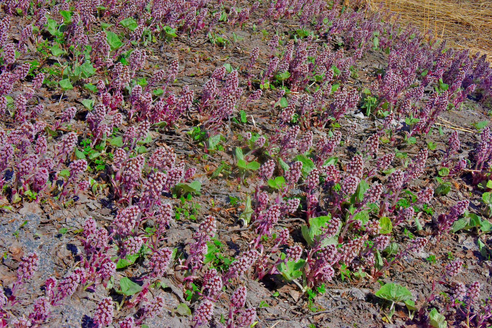 Valokuvaaja: Reijo Juurinen
