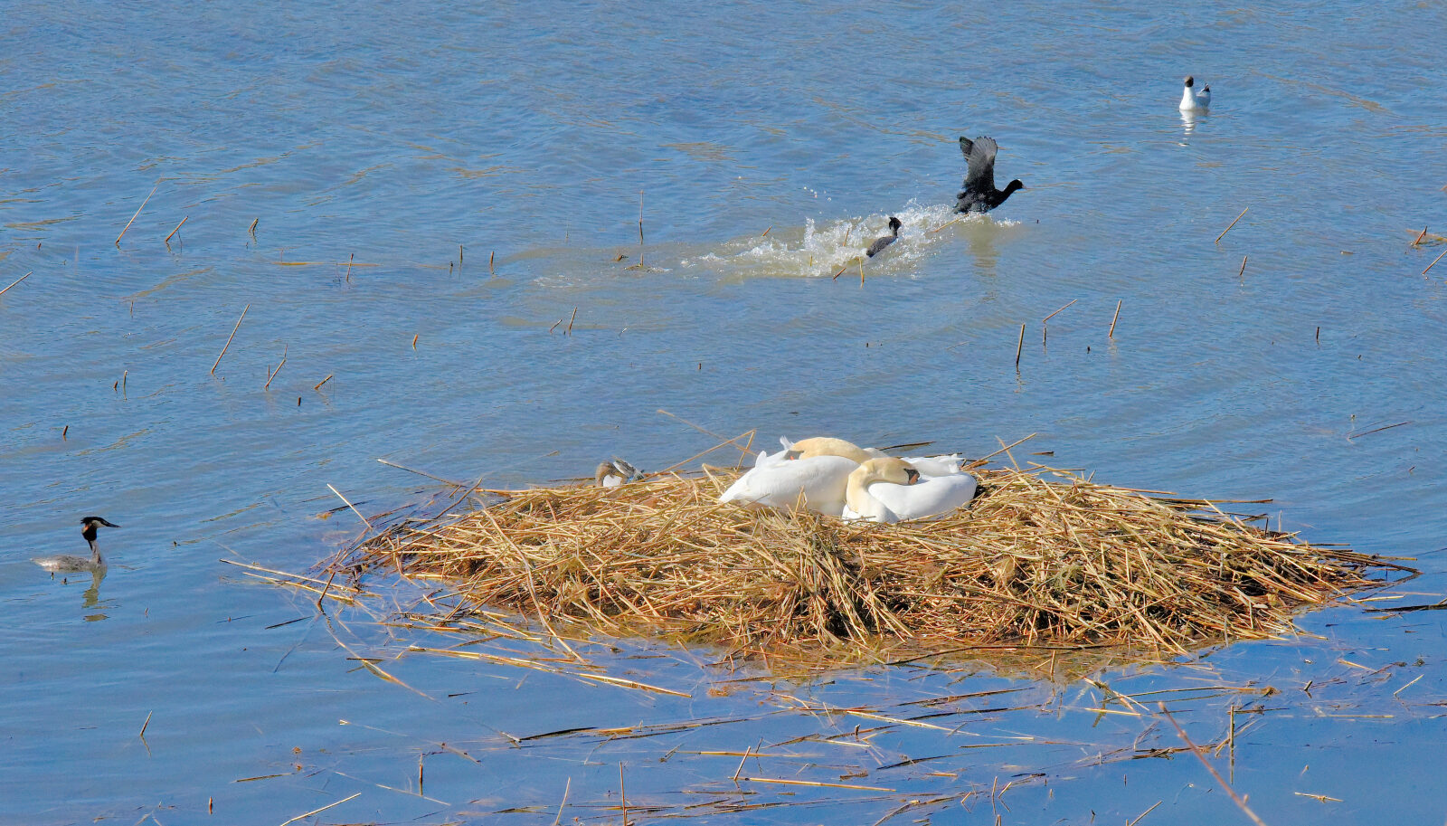Valokuvaaja: Reijo Juurinen