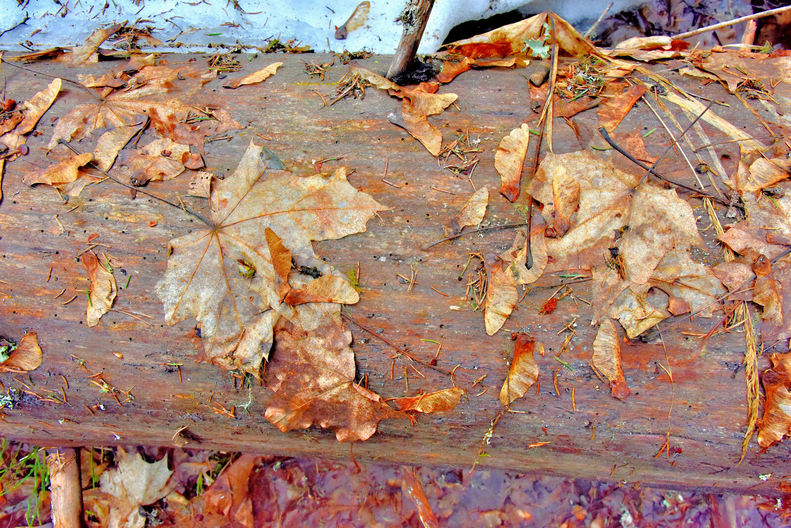 Valokuvaaja: Reijo Juurinen