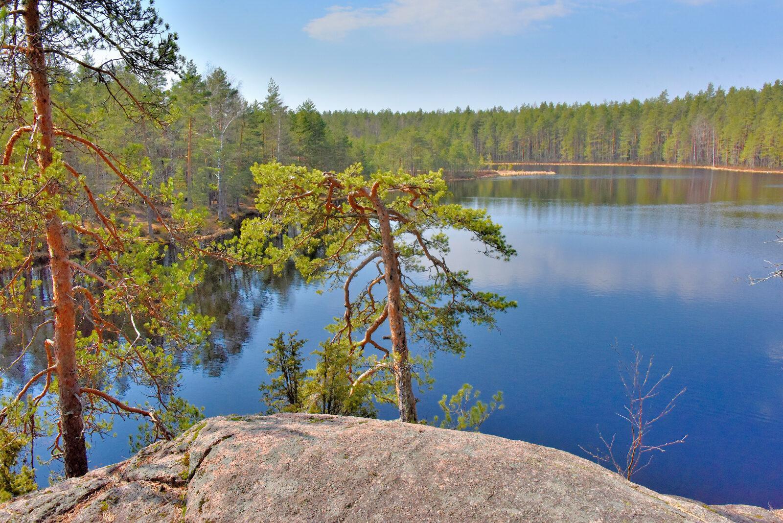 Valokuvaaja: Reijo Juurinen Valokuvaaja: Reijo Juurinen