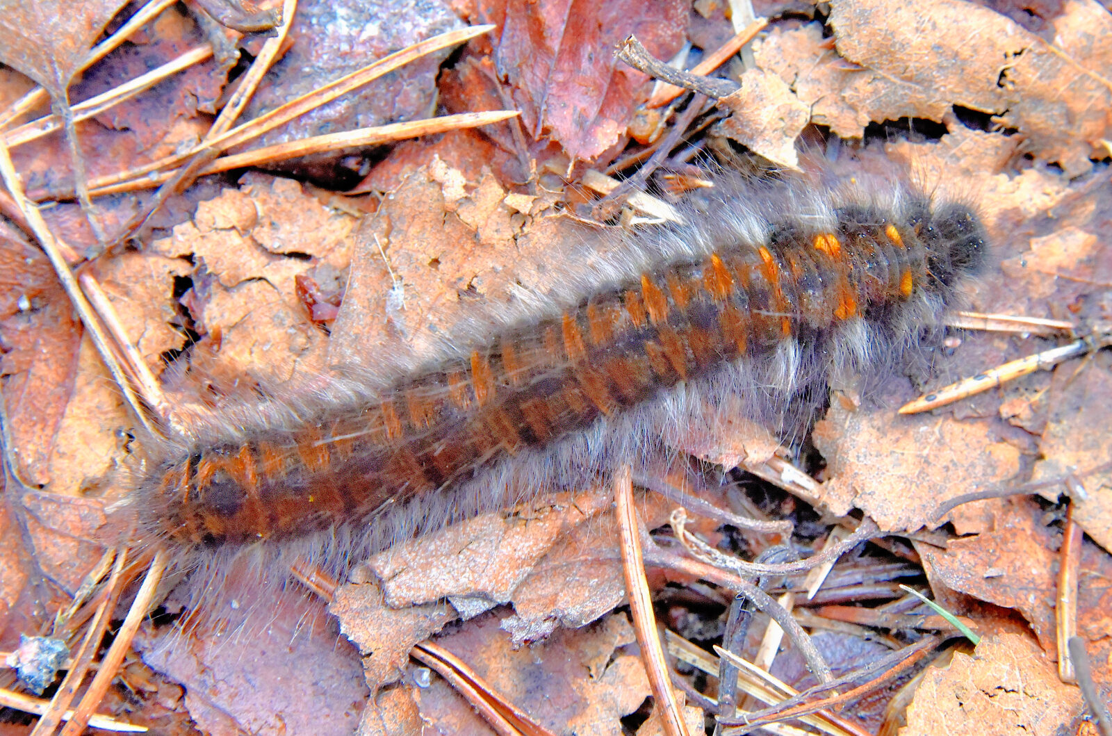 Valokuvaaja: Reijo Juurinen