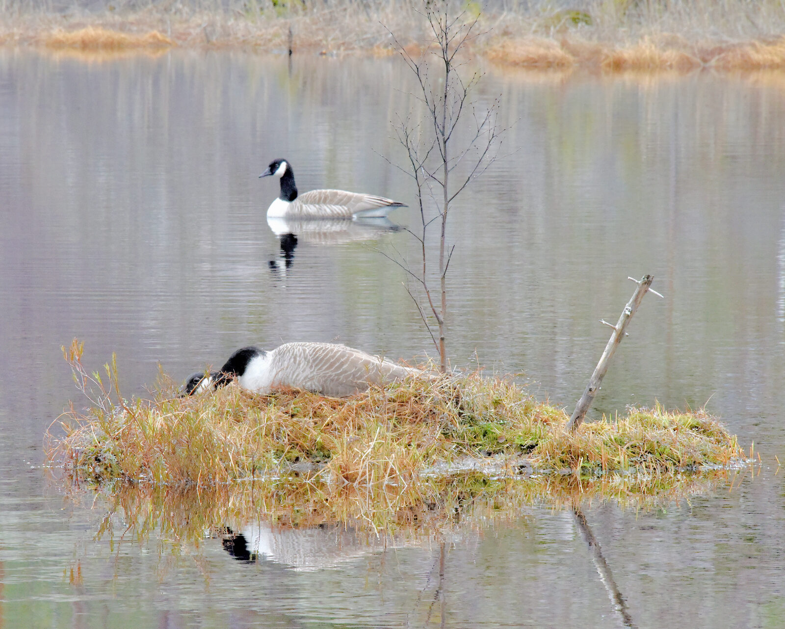 Valokuvaaja: Reijo Juurinen
