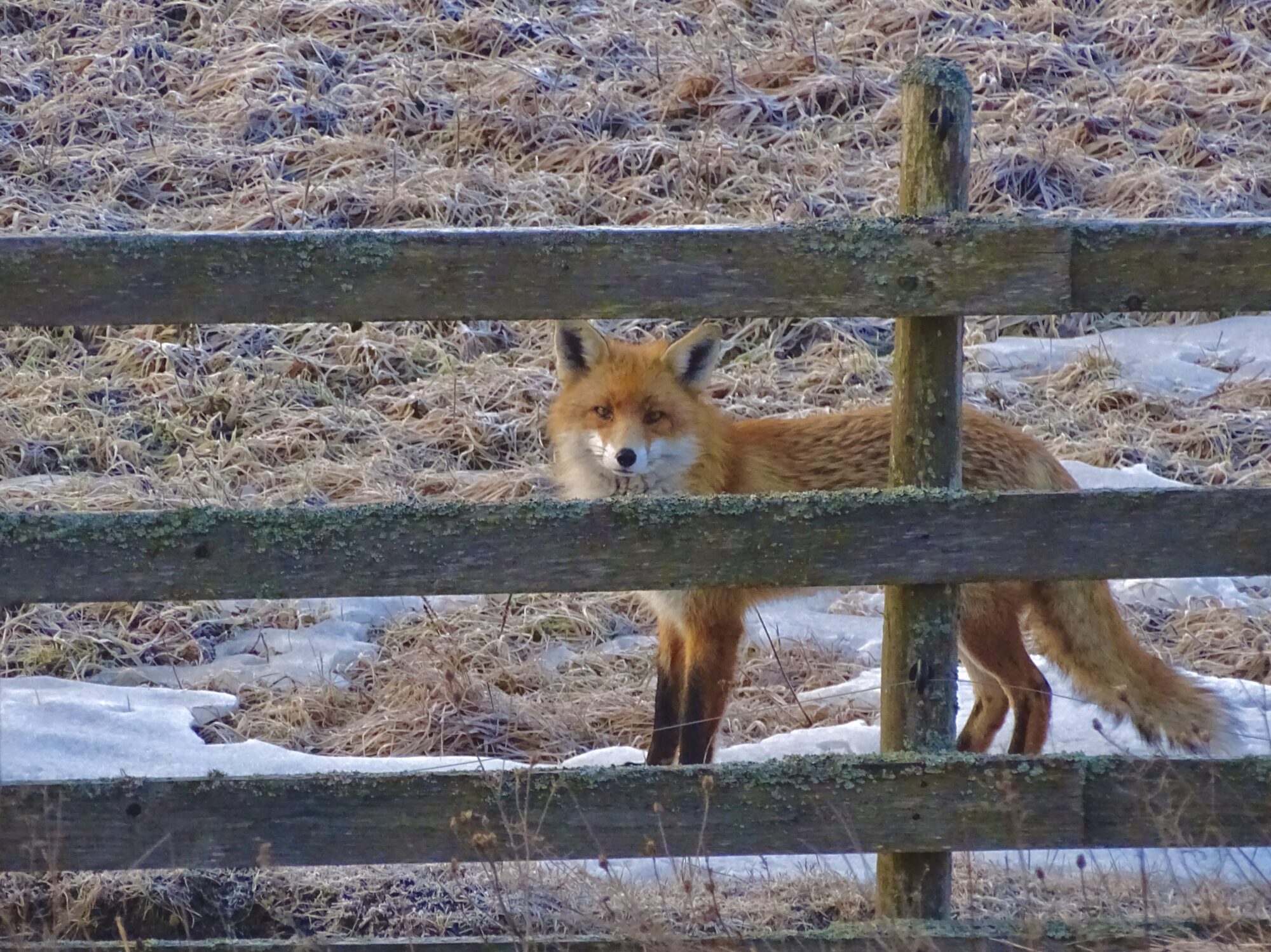 Valokuvaaja: Juhani Peltonen