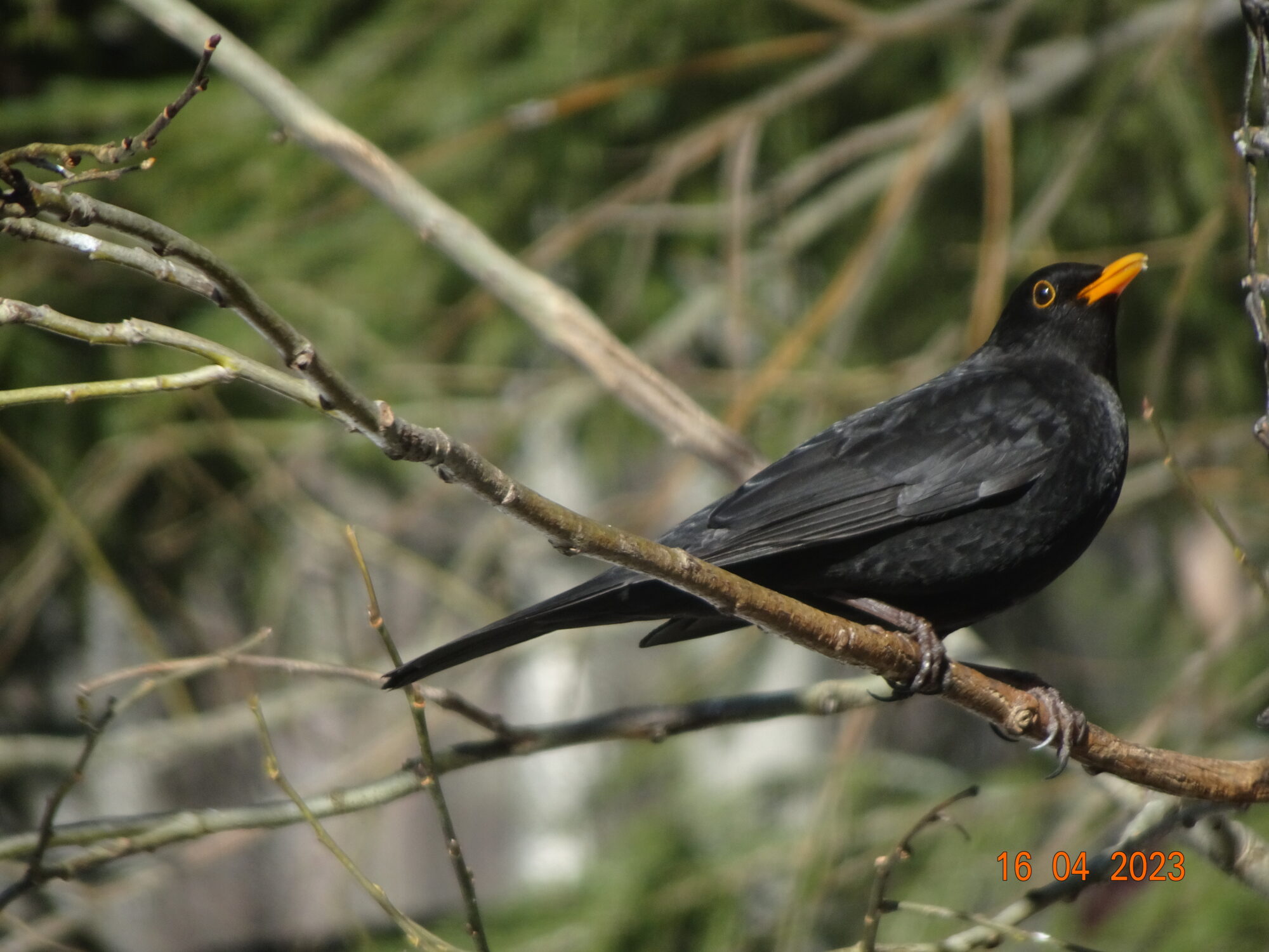 Valokuvaaja: Kalle  Matti Väänänen