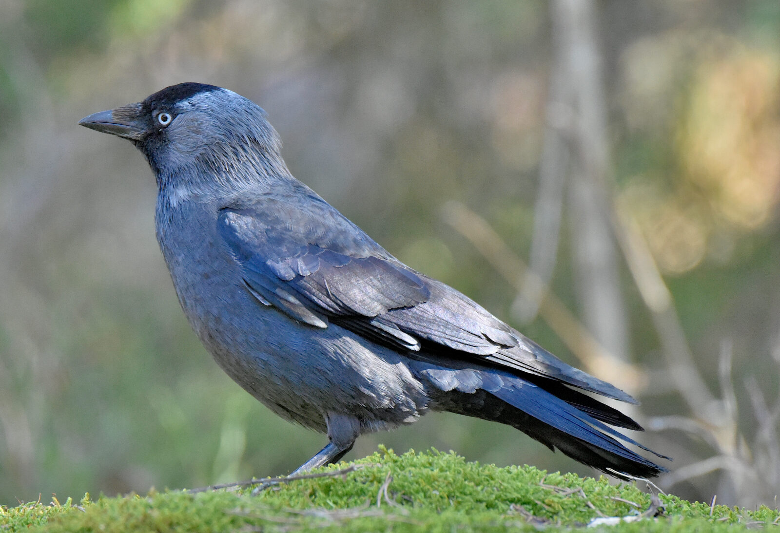 Valokuvaaja: Reijo Juurinen
