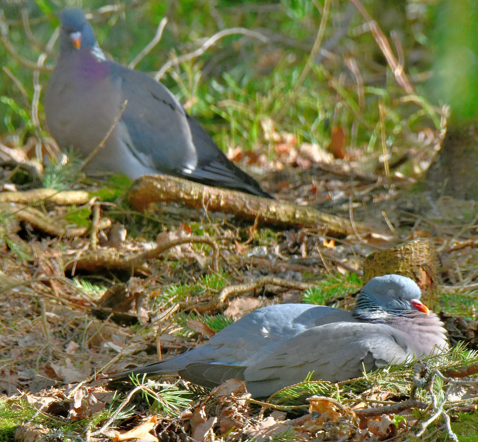 Valokuvaaja: Reijo Juurinen