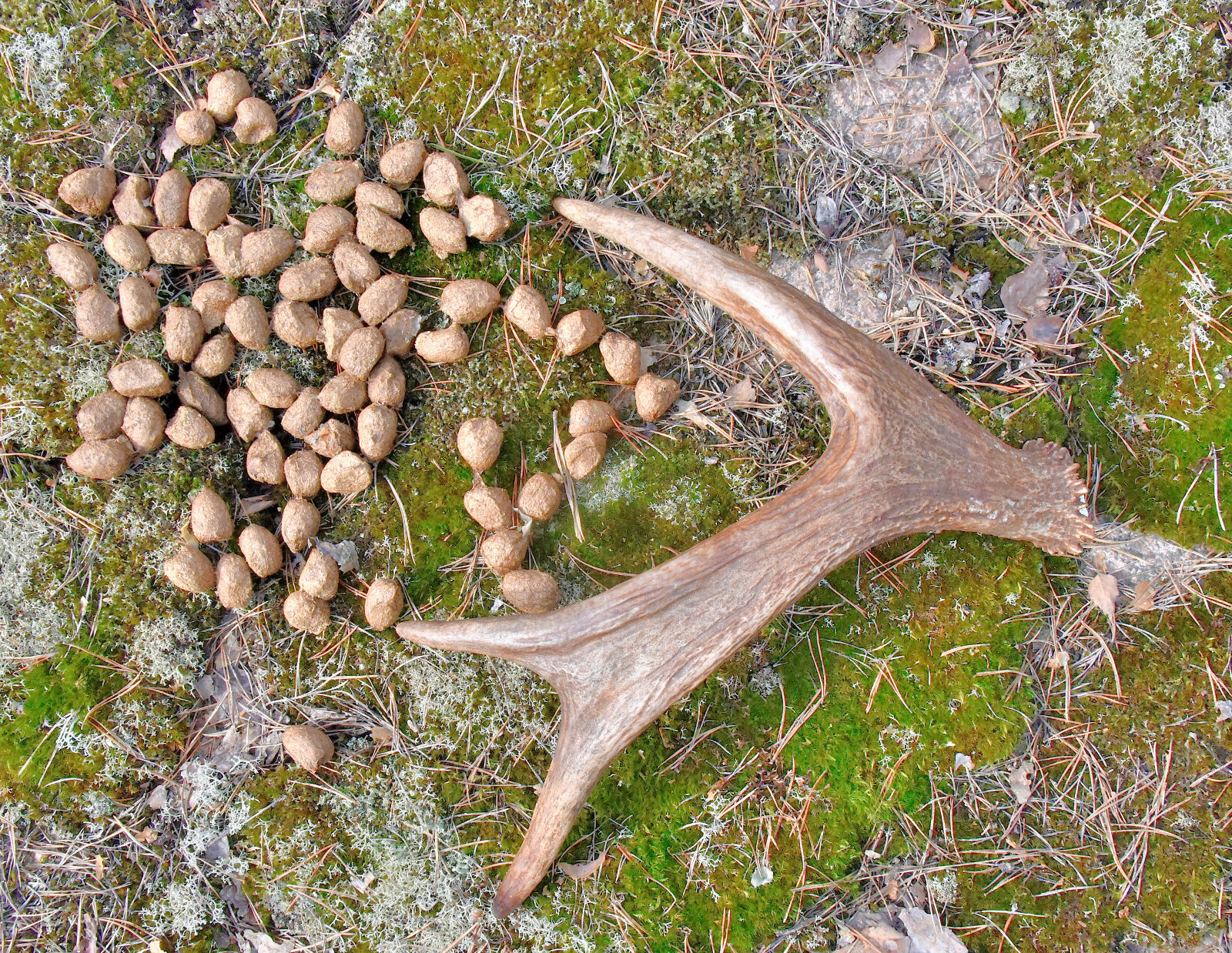 Valokuvaaja: Reijo Juurinen