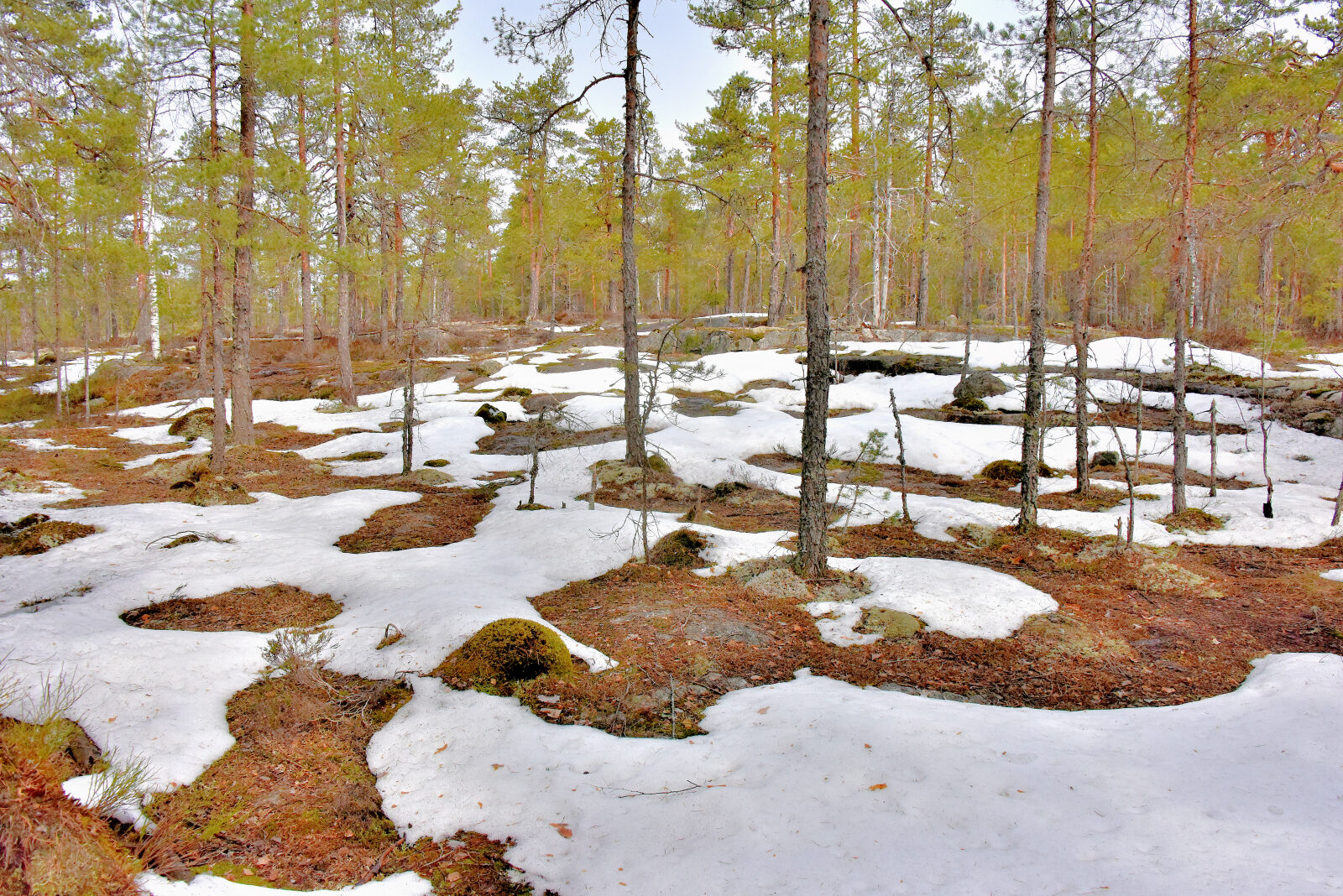 Valokuvaaja: Reijo Juurinen Valokuvaaja: Reijo Juurinen