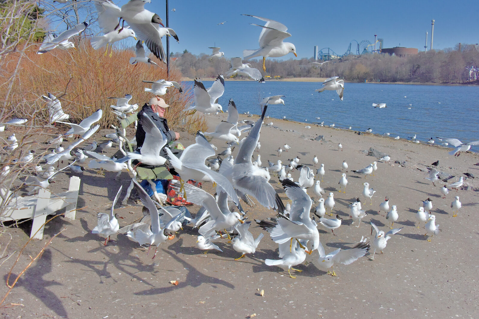 Valokuvaaja: Reijo Juurinen