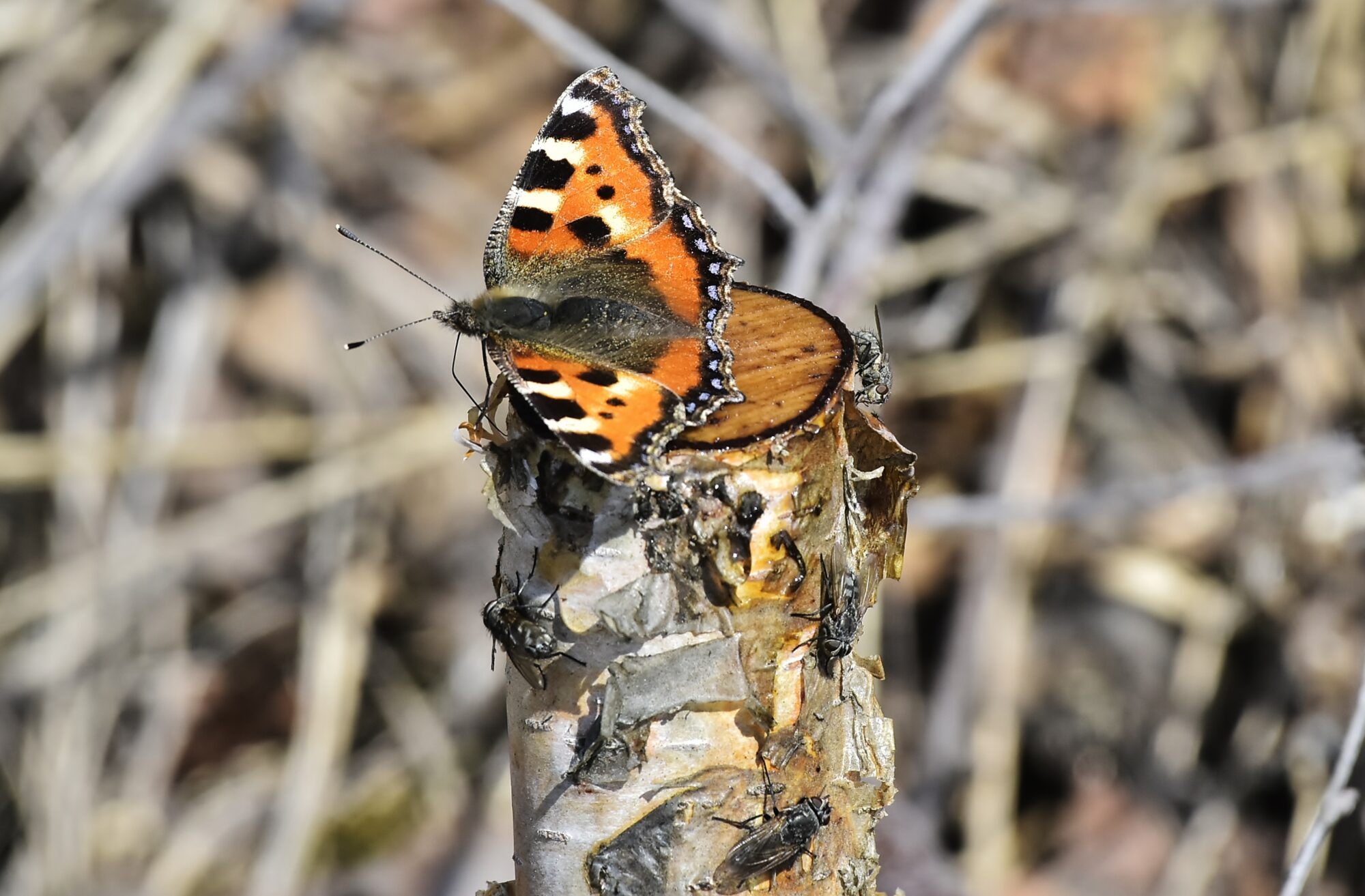 Valokuvaaja: Markku Pelkonen