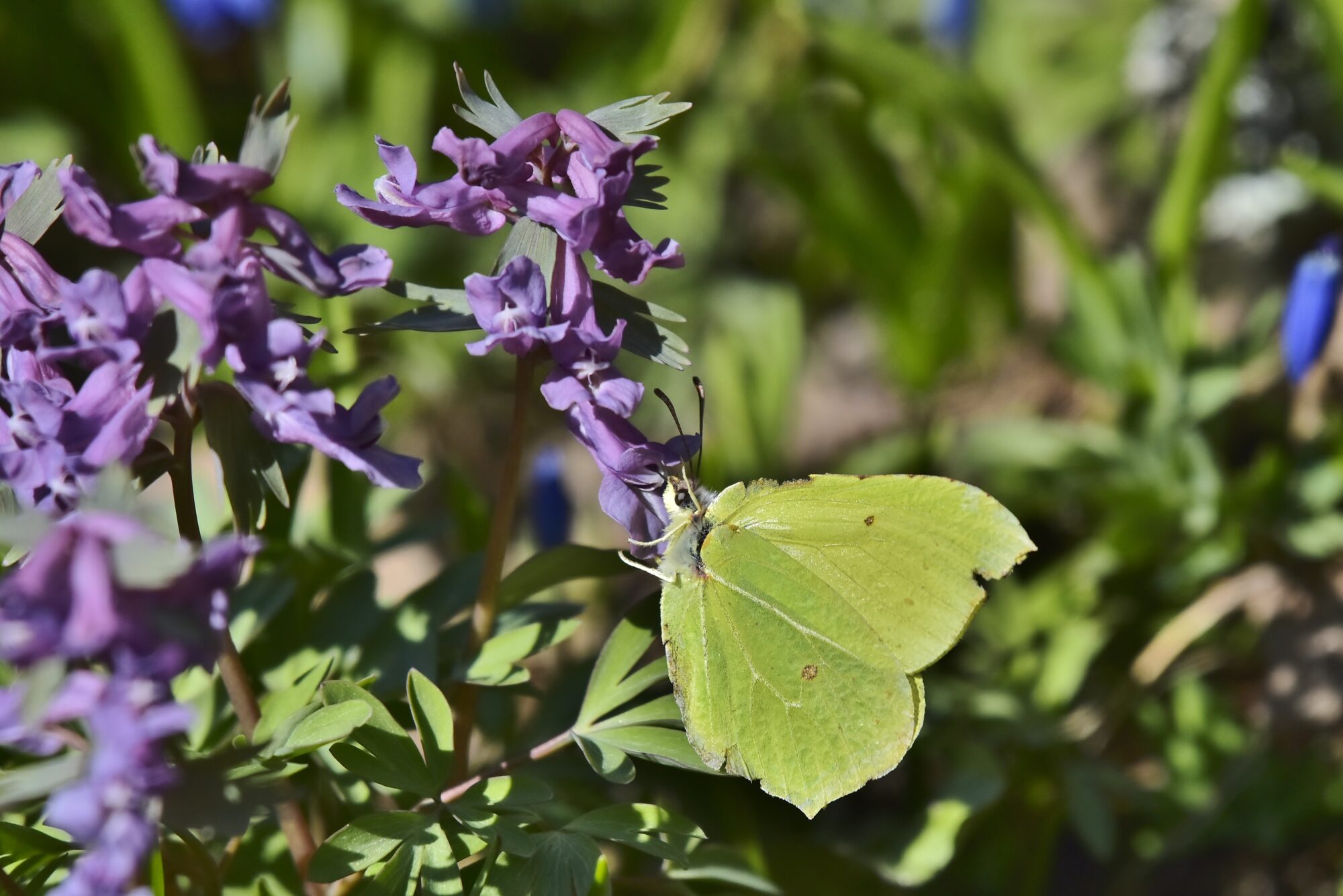 Valokuvaaja: Markku Pelkonen