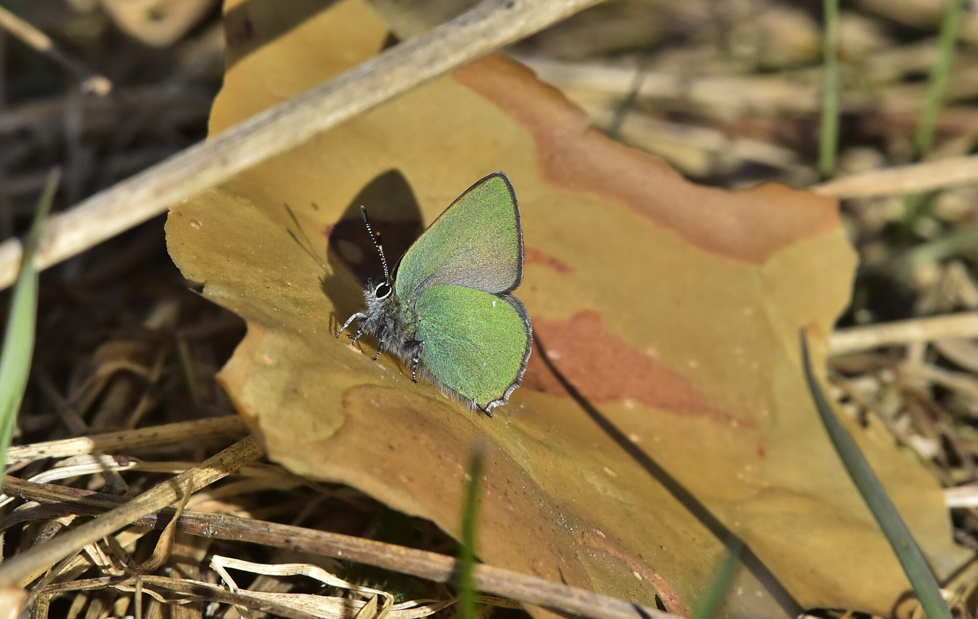 Valokuvaaja: Markku Pelkonen