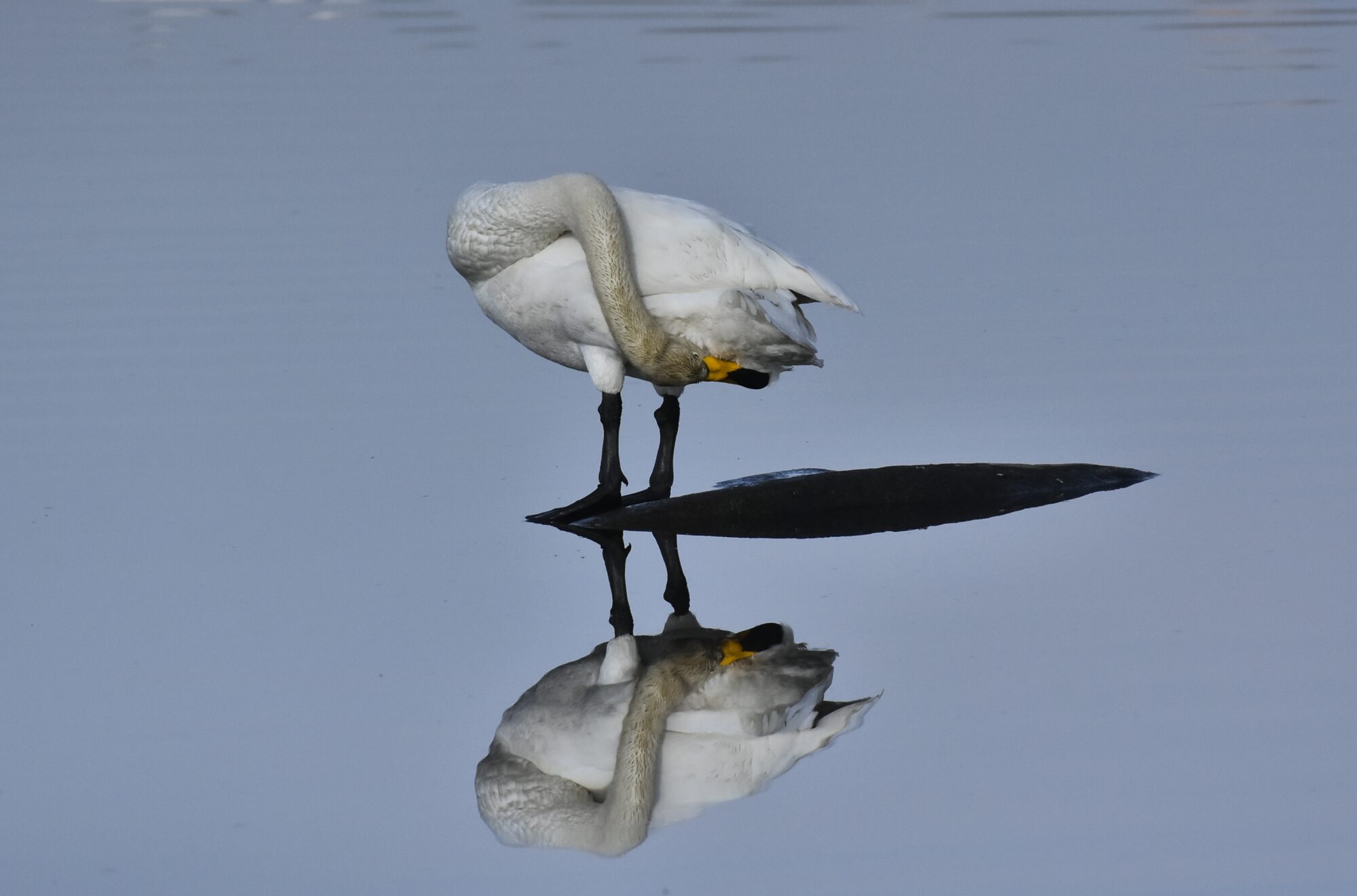 Valokuvaaja: Markku Pelkonen