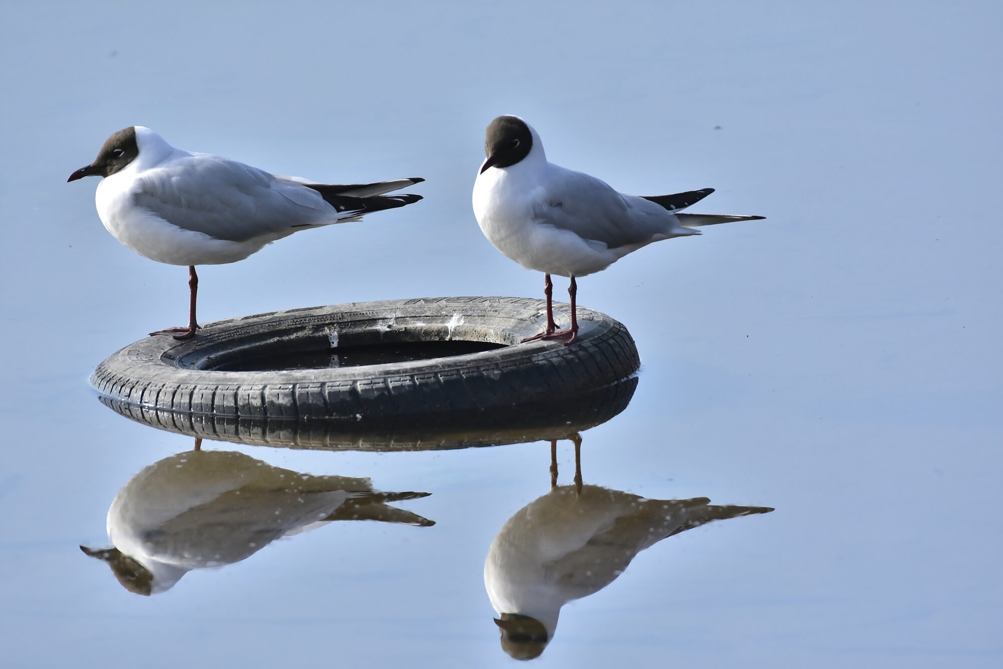 Valokuvaaja: Markku Pelkonen