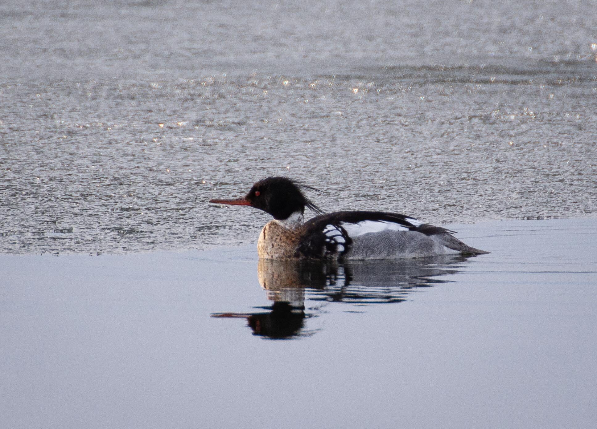 Valokuvaaja: Tuula Komsi