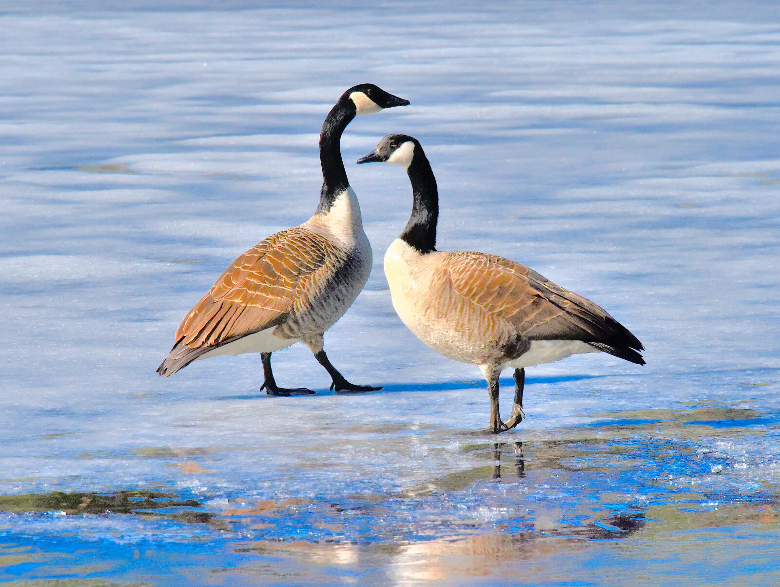 Valokuvaaja: Reijo Juurinen