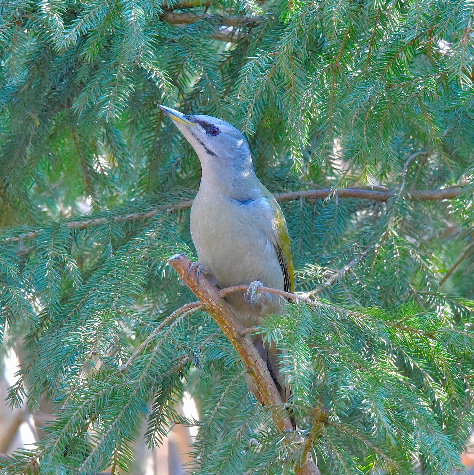 Valokuvaaja: Reijo Juurinen