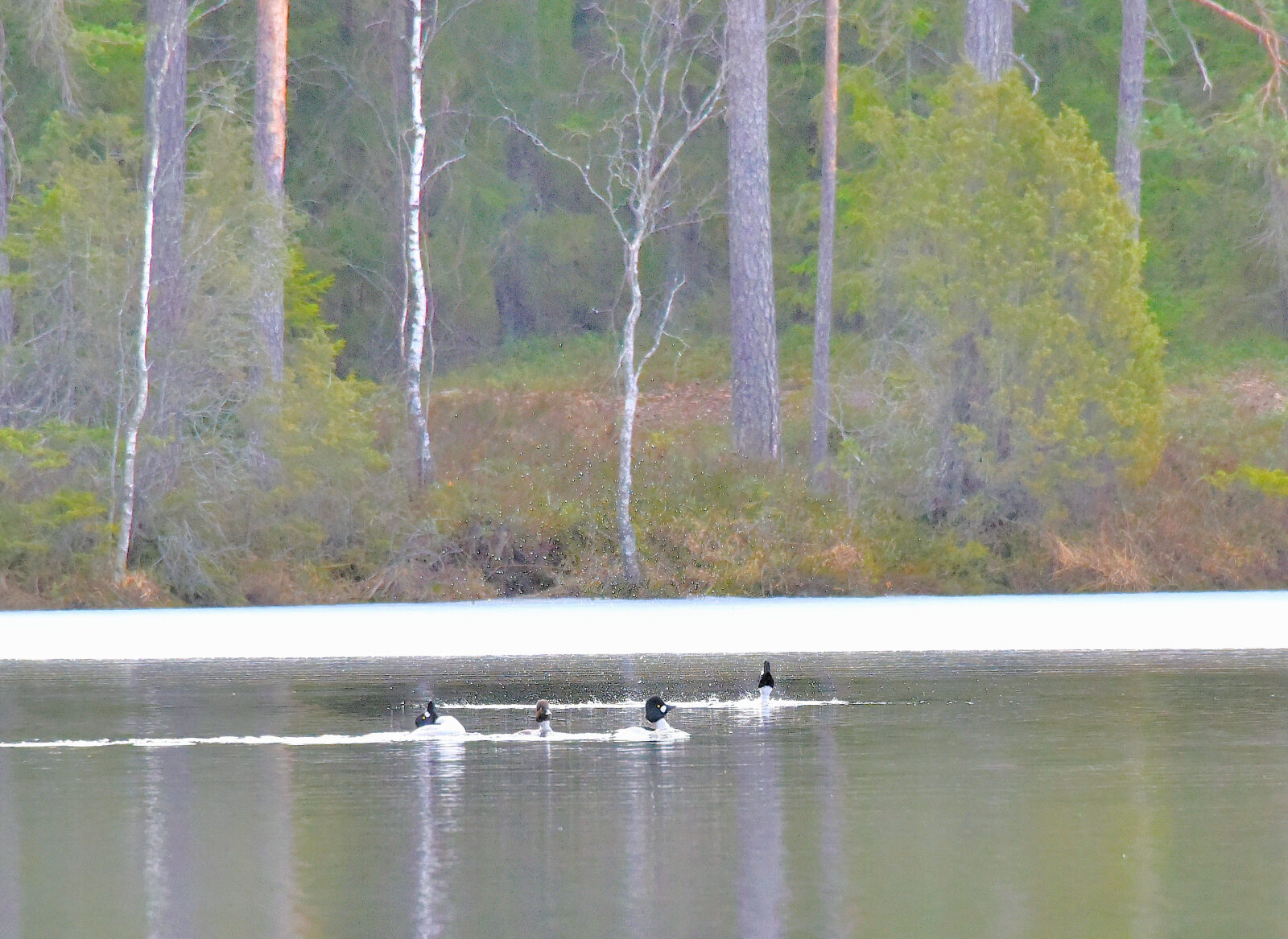 Valokuvaaja: Reijo Juurinen