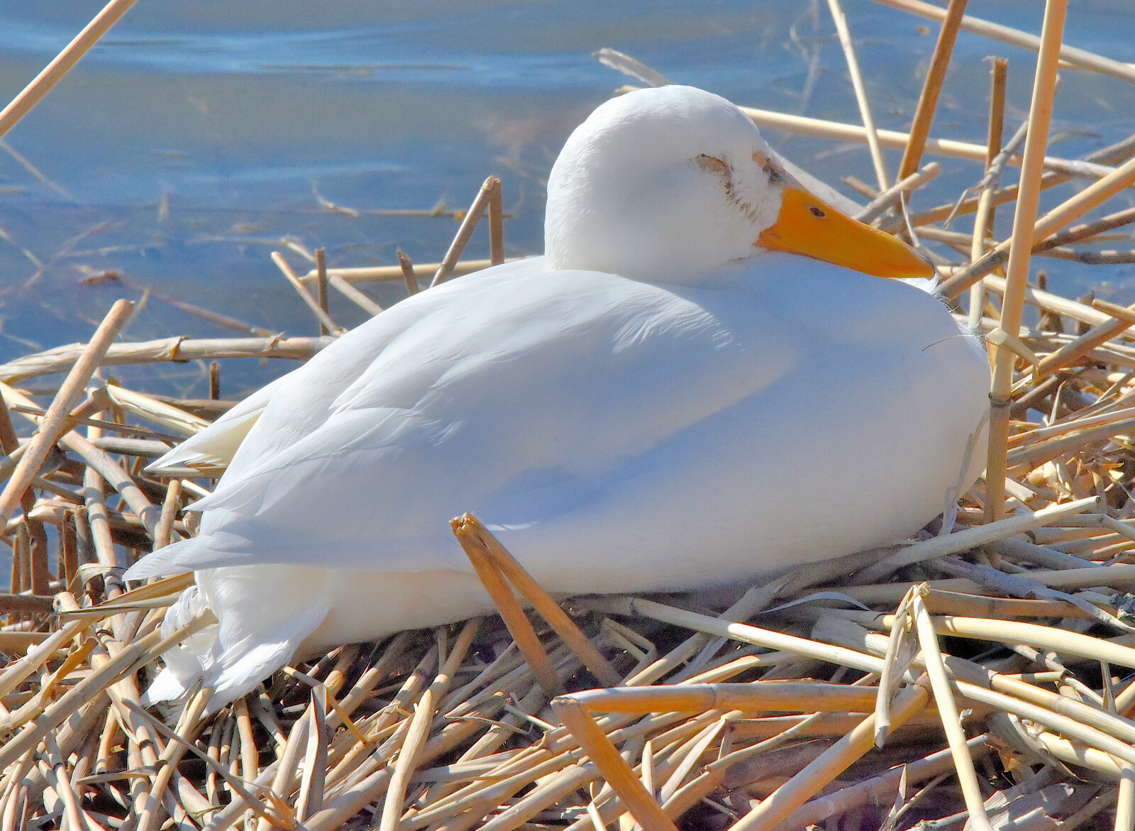Valokuvaaja: Reijo Juurinen