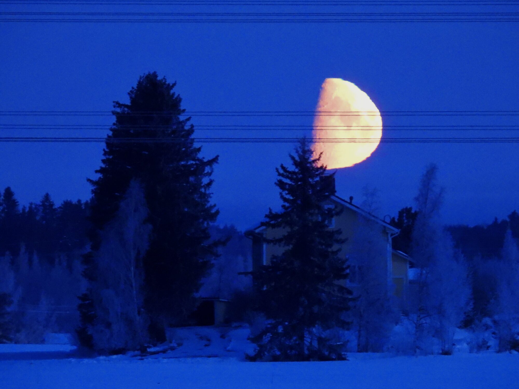 Valokuvaaja: Juhani Peltonen