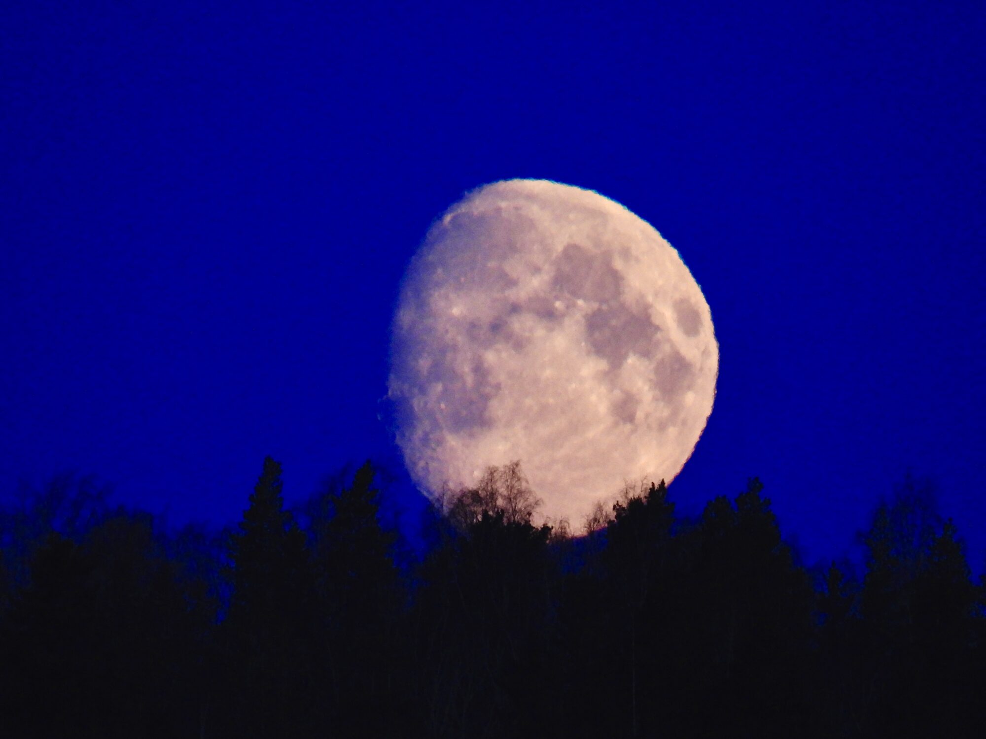 Valokuvaaja: Juhani Peltonen Valokuvaaja: Juhani Peltonen