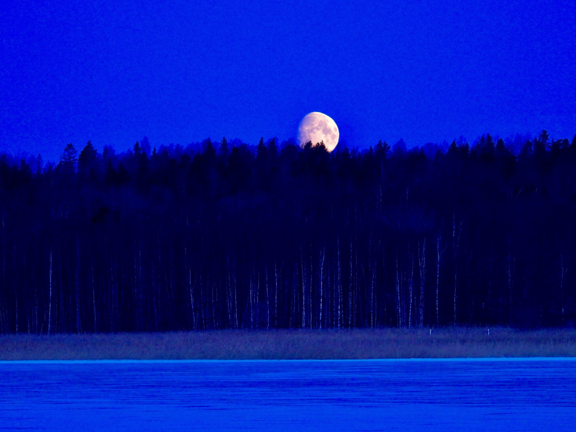 Valokuvaaja: Juhani Peltonen