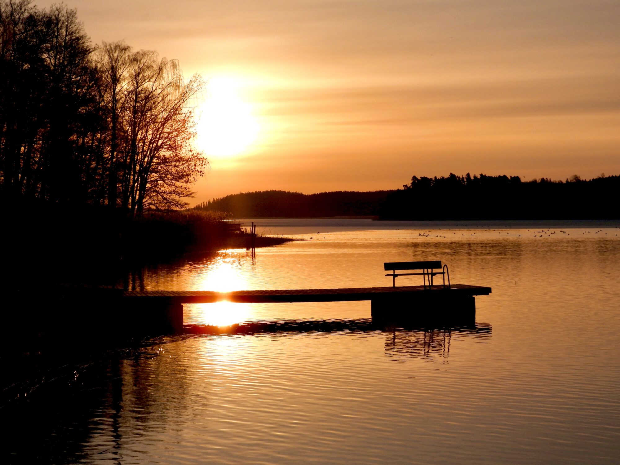Valokuvaaja: Juhani Peltonen