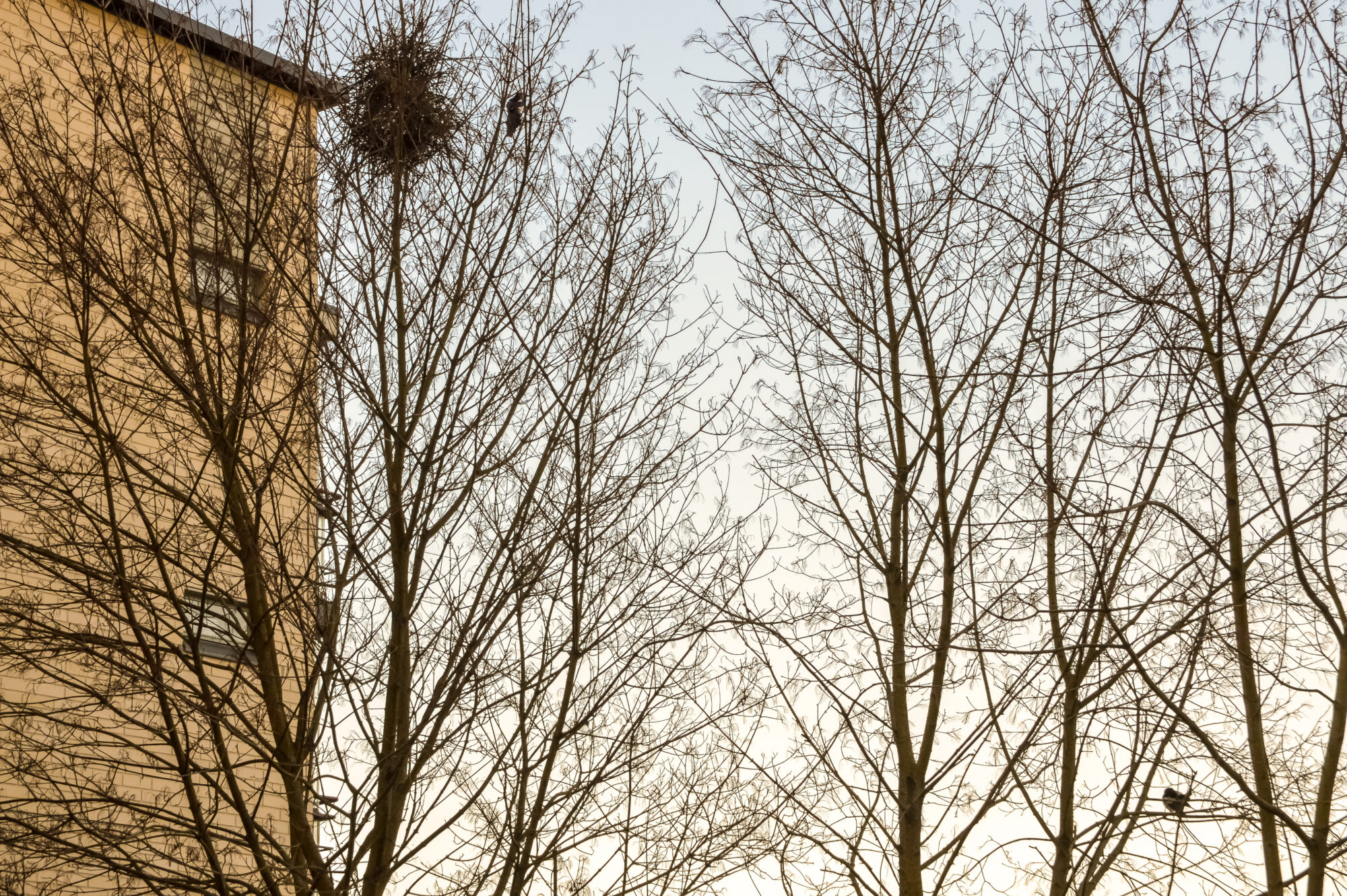 Valokuvaaja: pekka peltonen