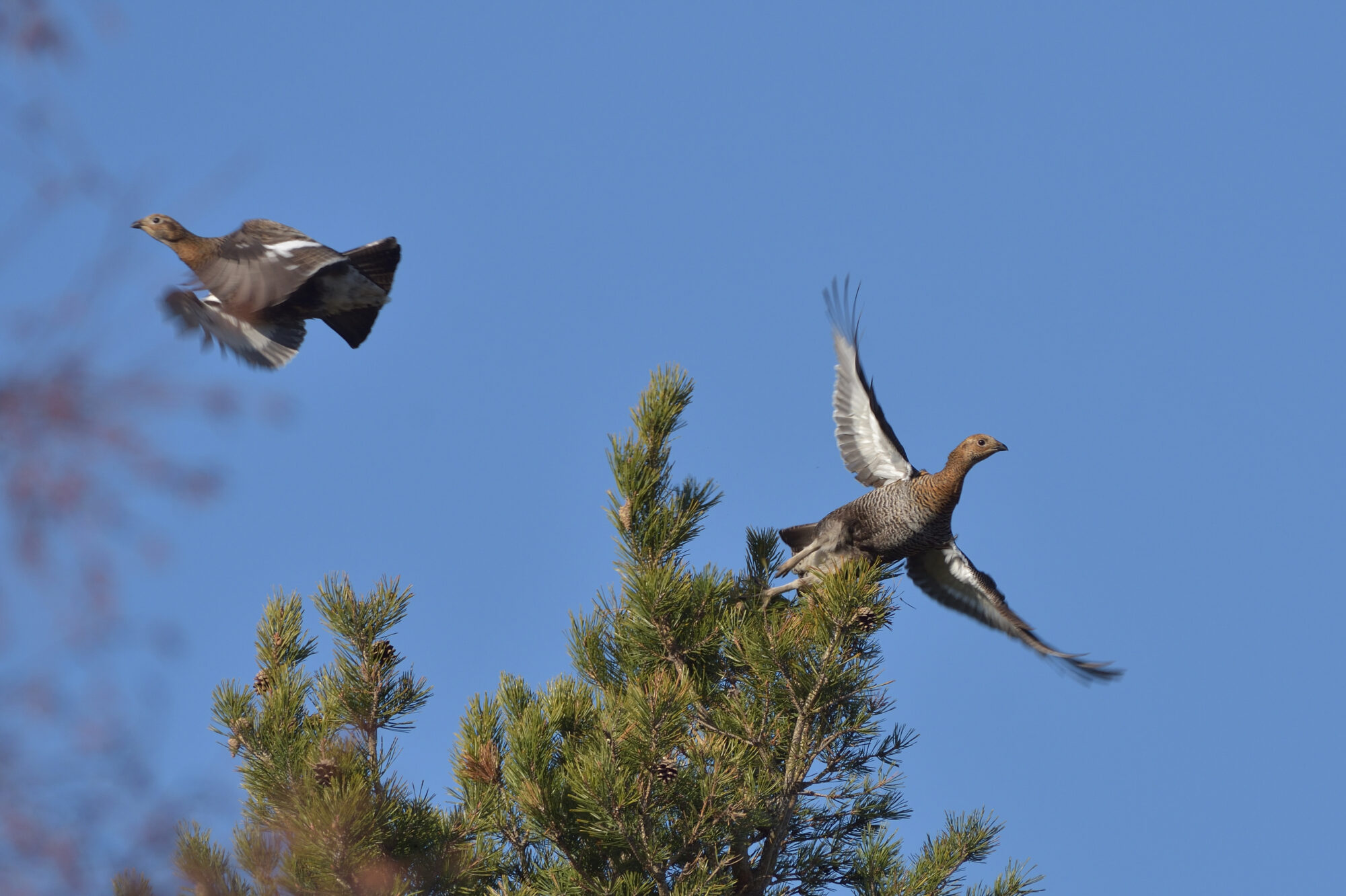 Valokuvaaja: Asko Heikkinen