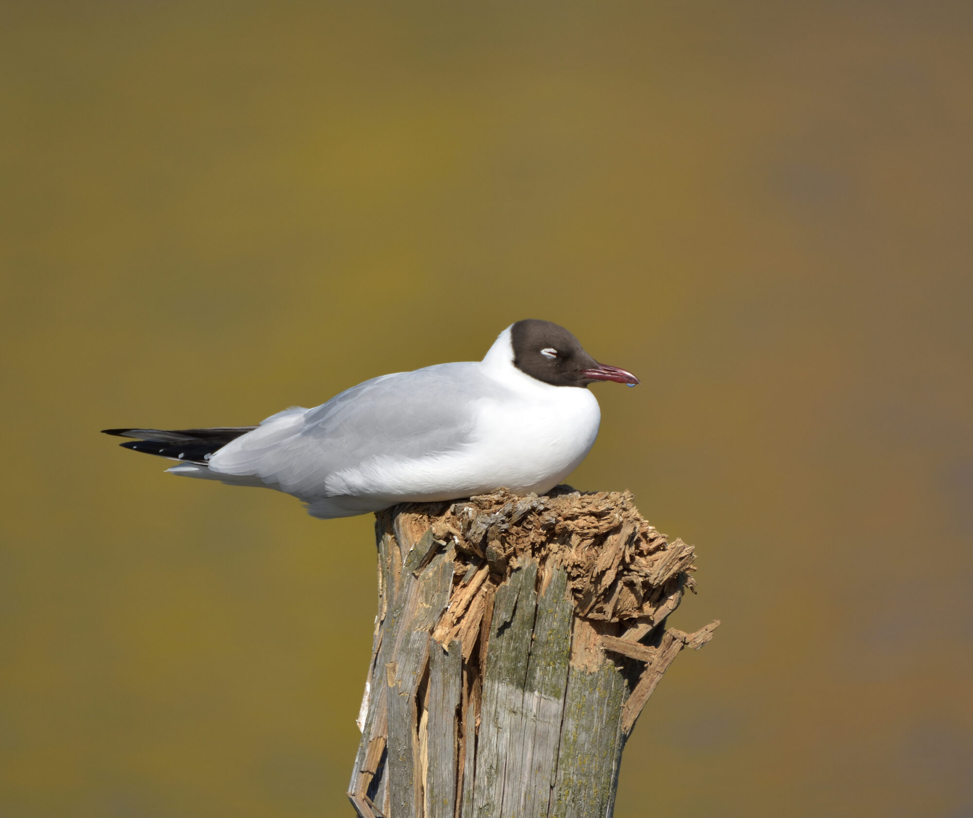 Valokuvaaja: Asko Heikkinen