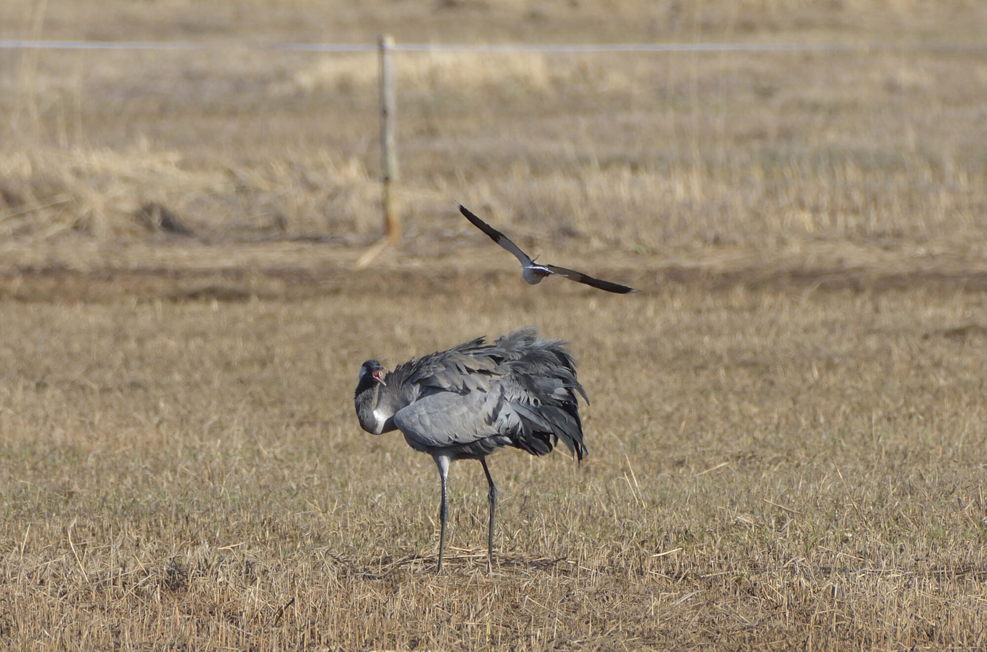 Valokuvaaja: Asko Heikkinen
