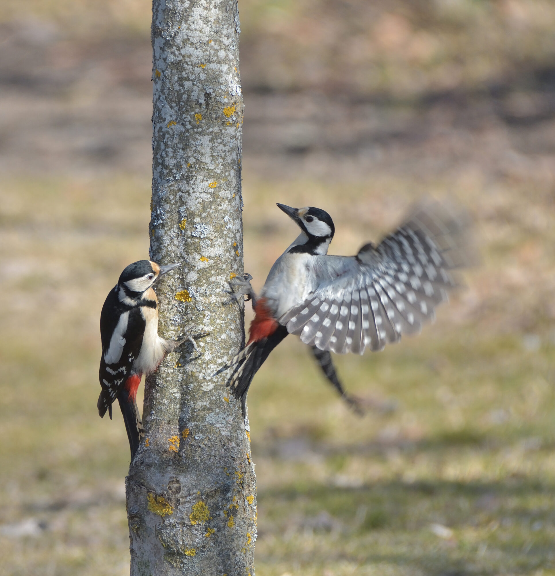 Valokuvaaja: Asko Heikkinen
